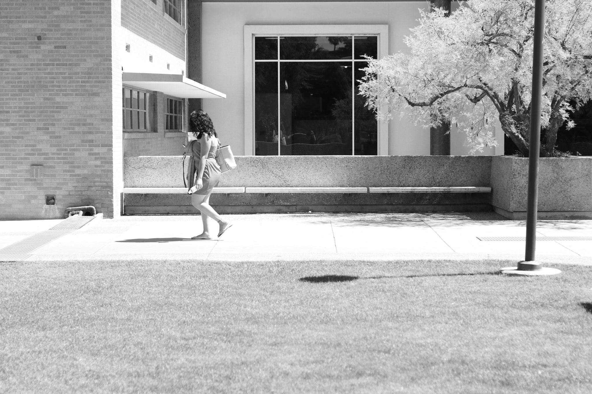 Canon EF 35-80mm f/4-5.6 sample photo. Walking to class photography
