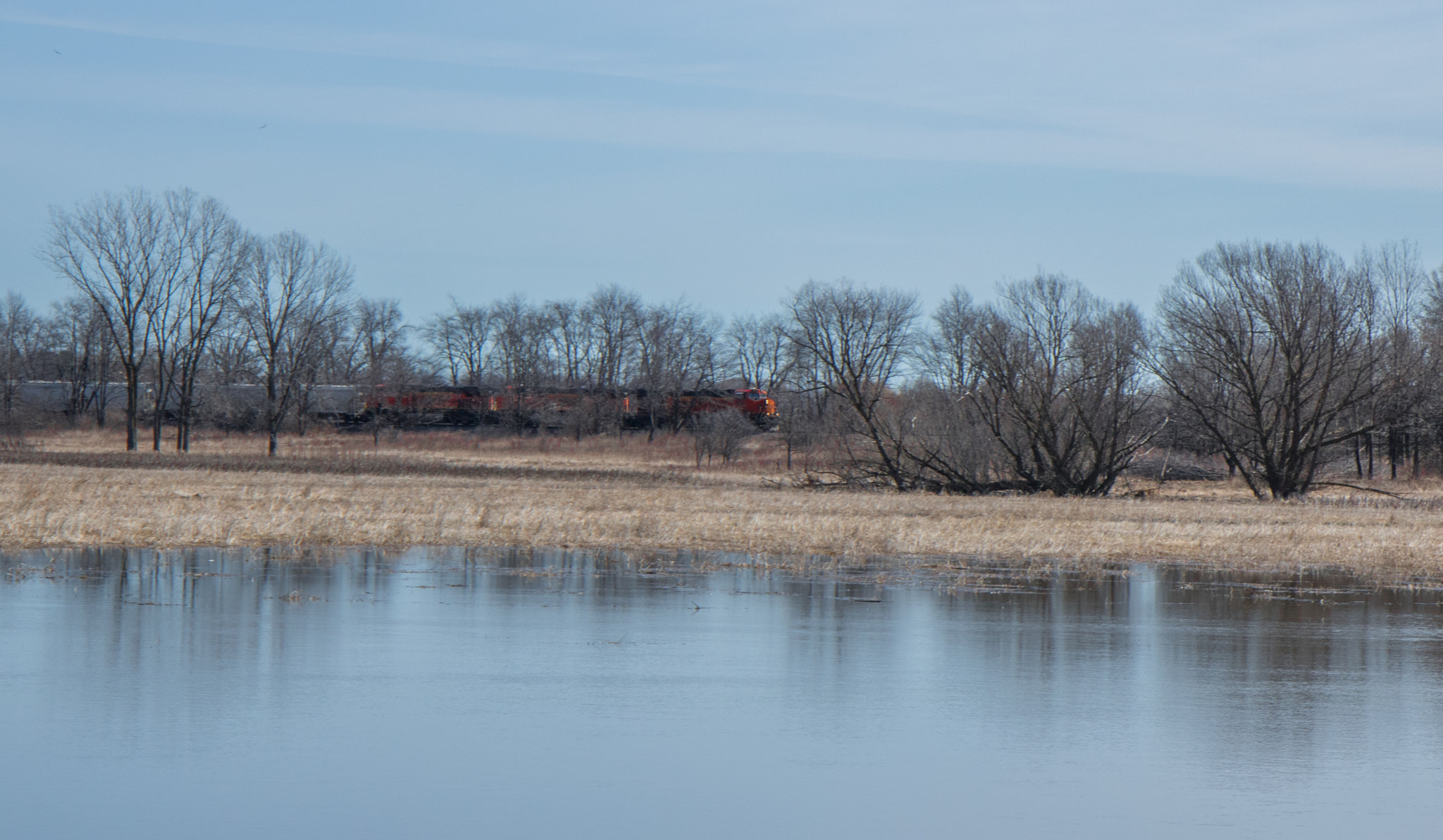Canon EOS 750D (EOS Rebel T6i / EOS Kiss X8i) sample photo. Des plaines river & train from van patten woods photography