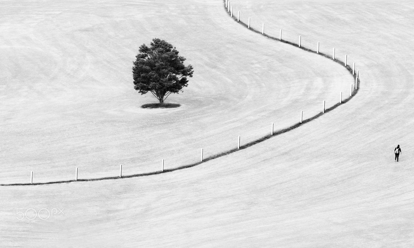 Canon EOS 6D + Canon EF 70-200mm F4L IS USM sample photo. The fence photography
