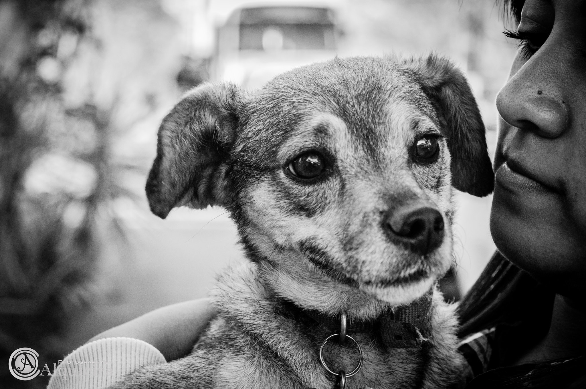 AF Zoom-Nikkor 28-80mm f/3.3-5.6G sample photo. Una mirada tierna photography