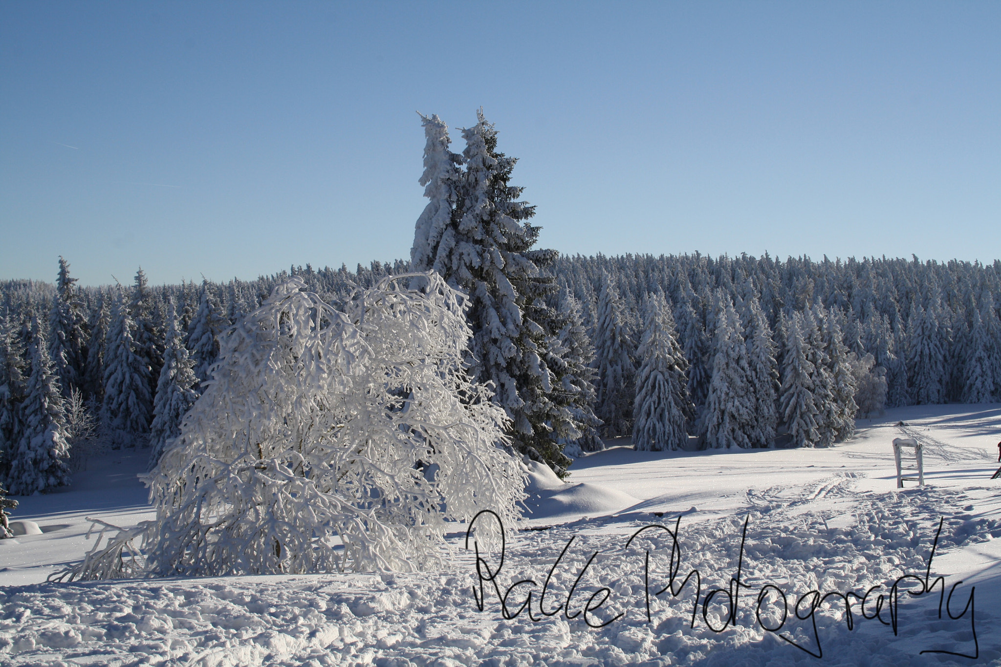 Canon EOS 1000D (EOS Digital Rebel XS / EOS Kiss F) + Canon EF-S 18-55mm F3.5-5.6 II sample photo. Torfhaus harz photography