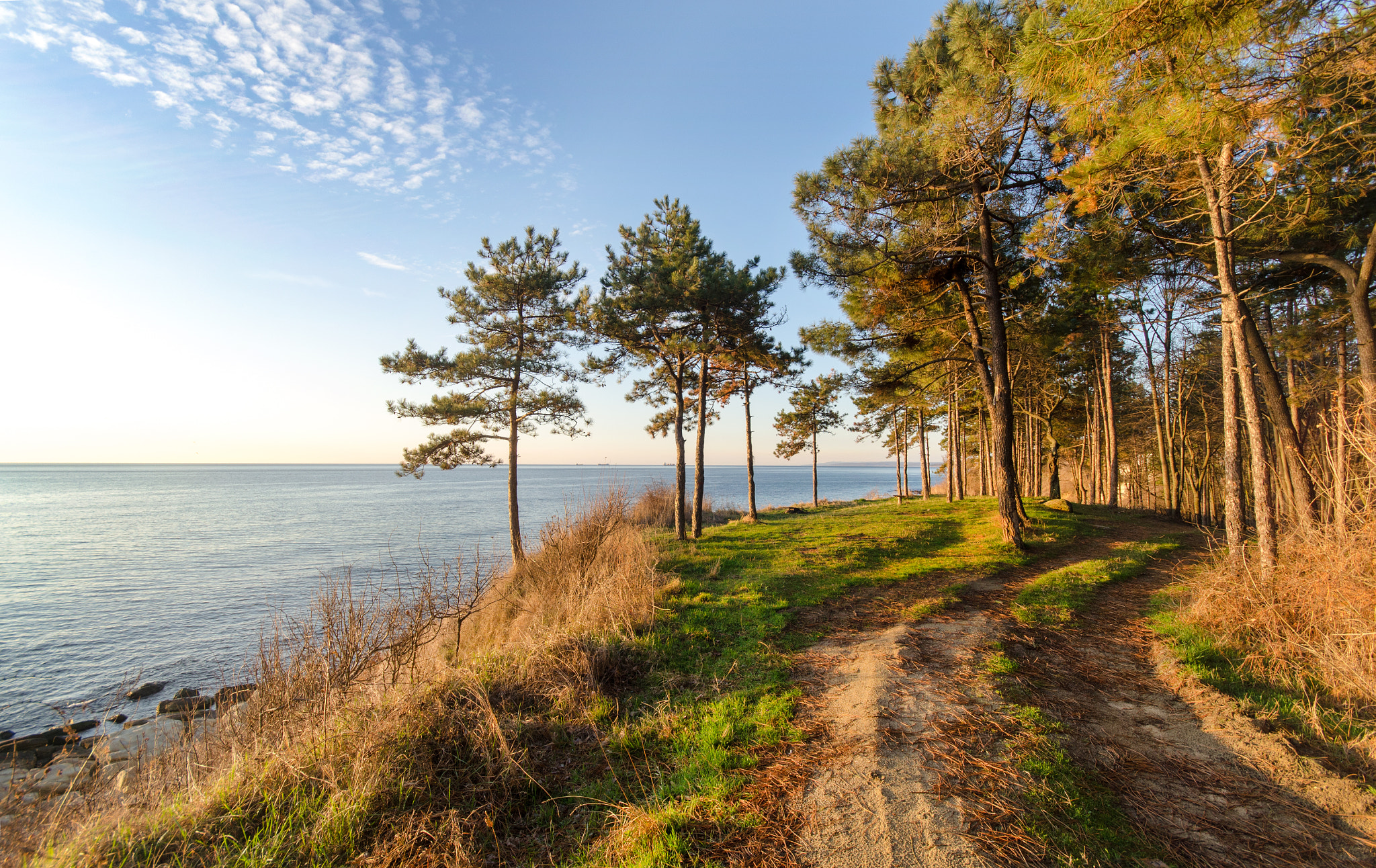 Nikon D5100 + Sigma 10-20mm F4-5.6 EX DC HSM sample photo. Morning photography