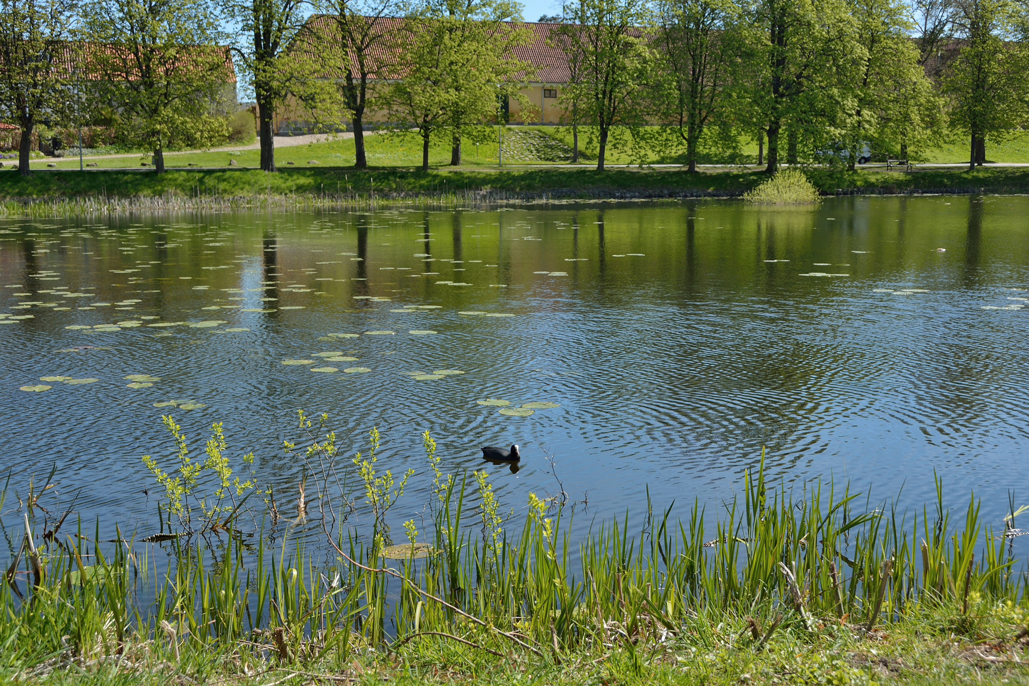 Nikon D7100 sample photo. Spring in hørsholm photography