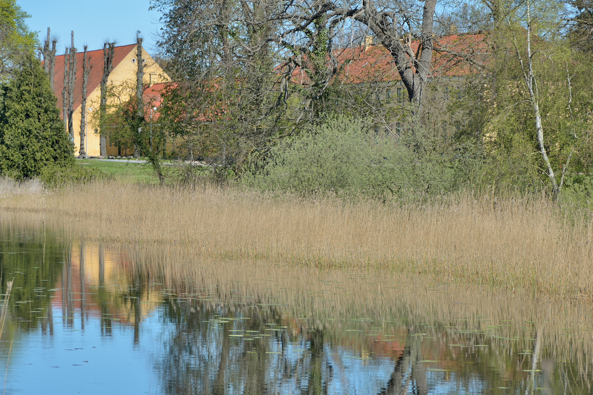 Nikon D7100 sample photo. Spring in hørsholm photography