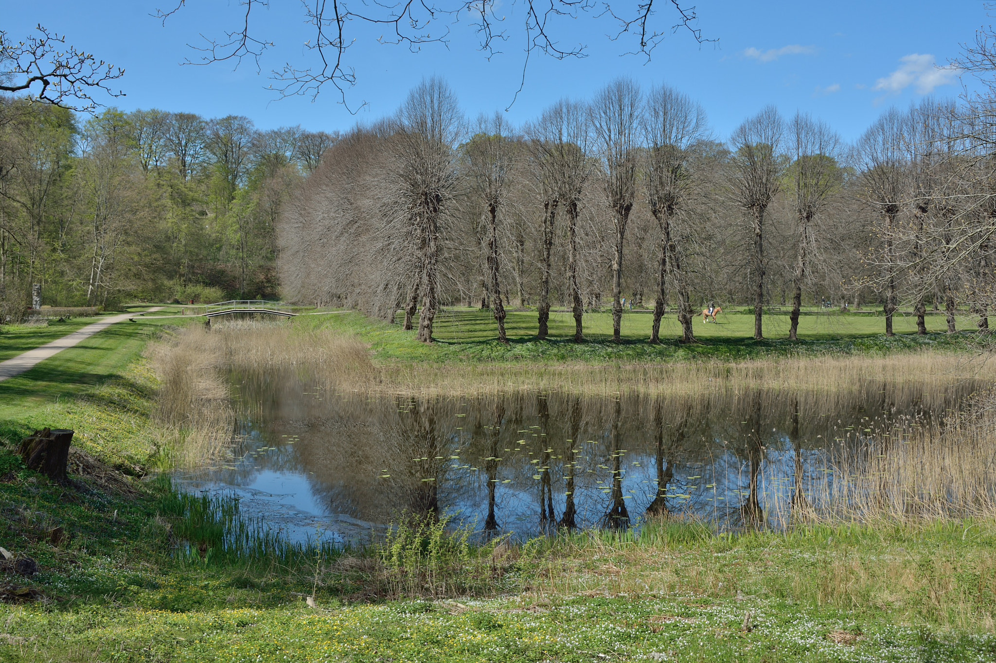 Nikon D7100 sample photo. Spring in hørsholm photography