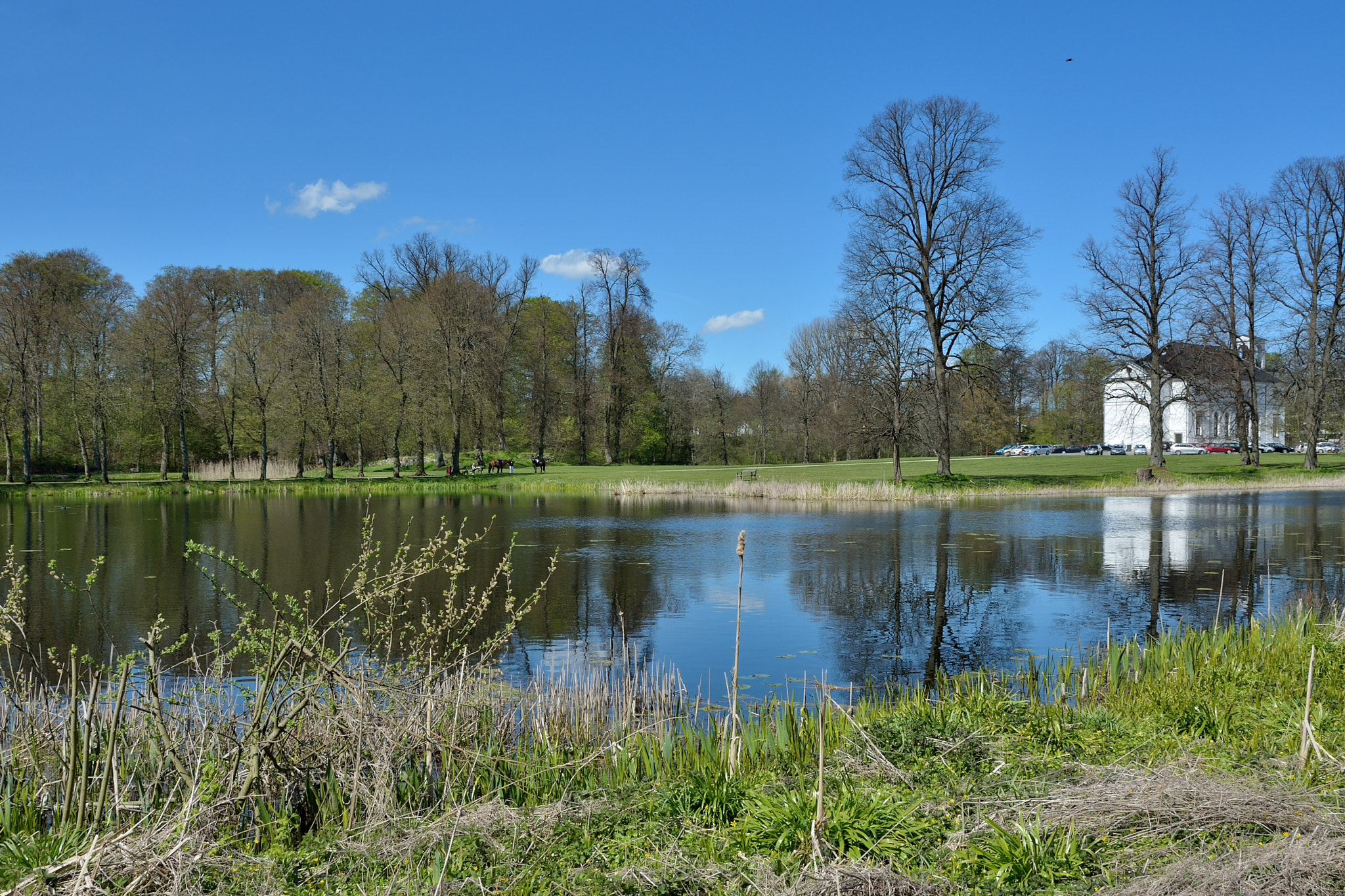 Nikon D7100 sample photo. Spring in hørsholm photography