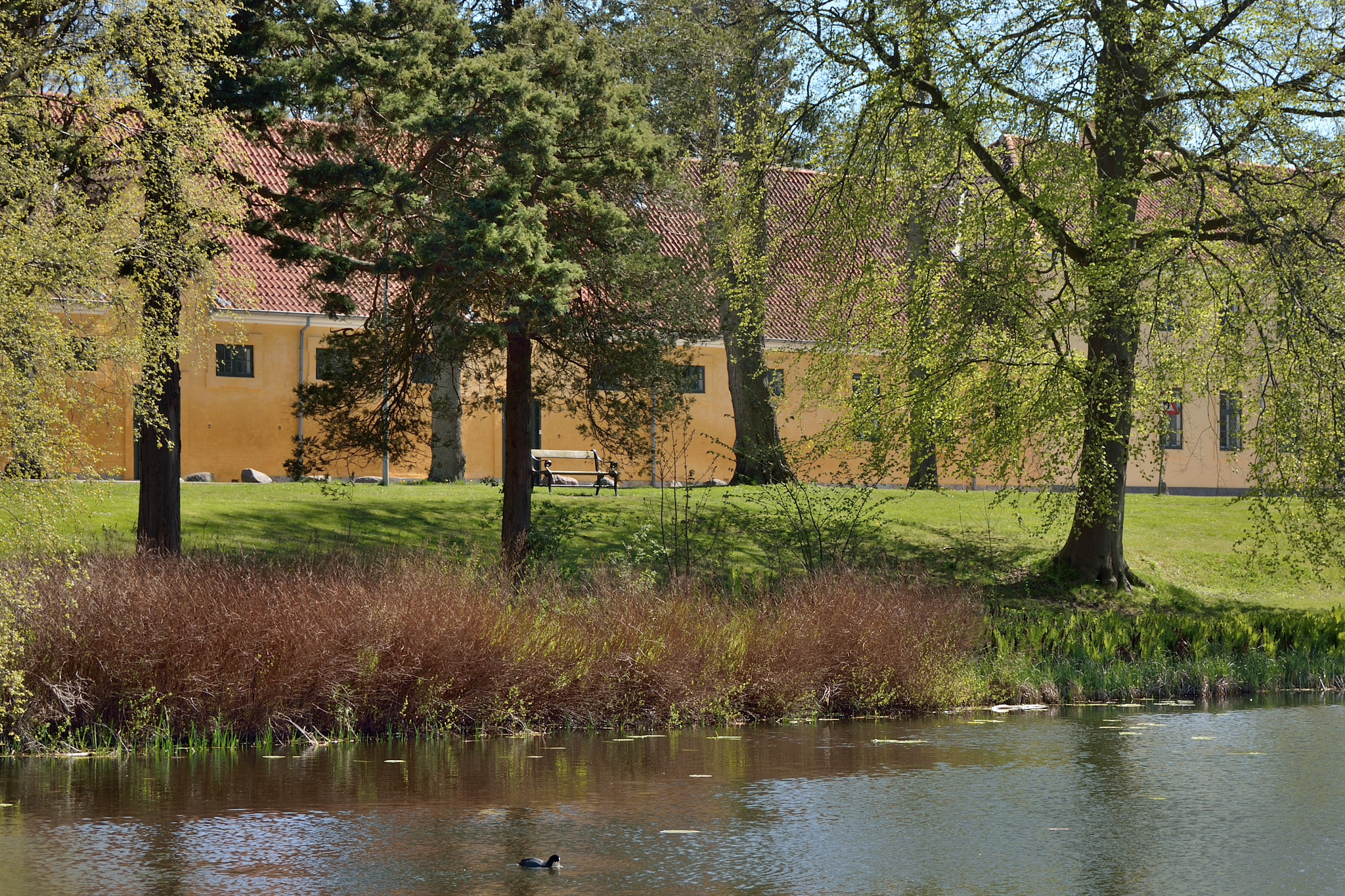 Nikon D7100 sample photo. Spring in hørsholm photography