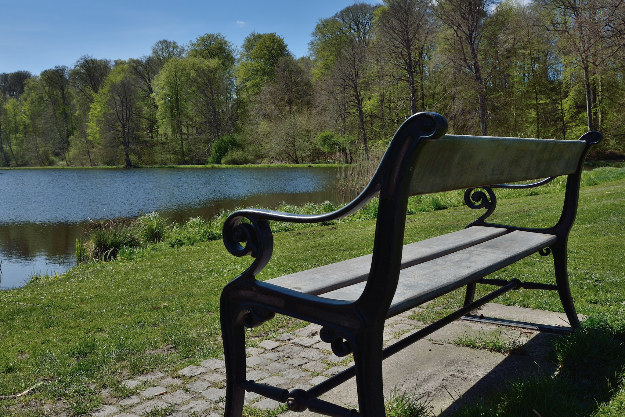 Nikon D7100 sample photo. Spring in hørsholm photography