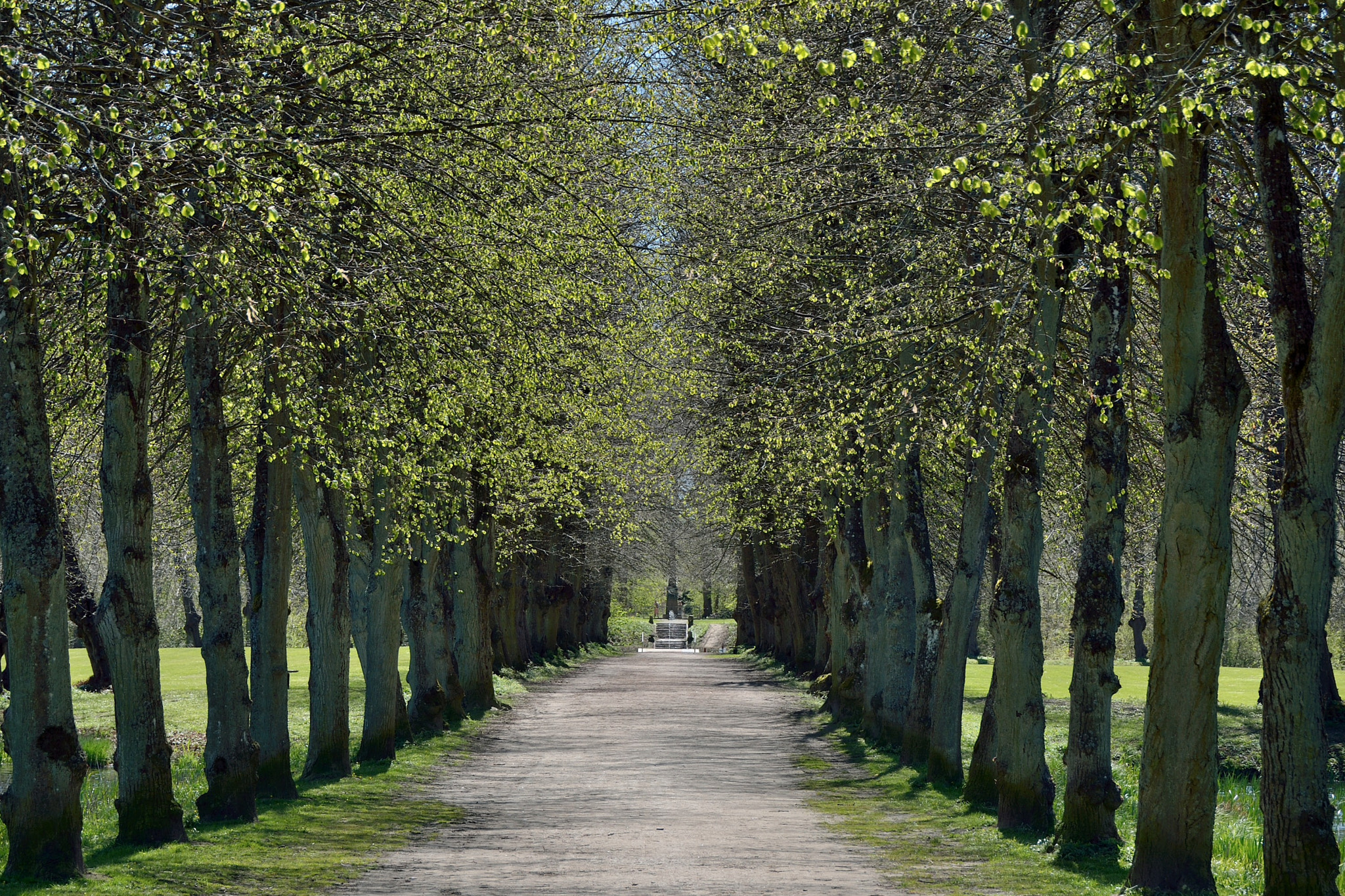 Nikon D7100 sample photo. Spring in hørsholm photography