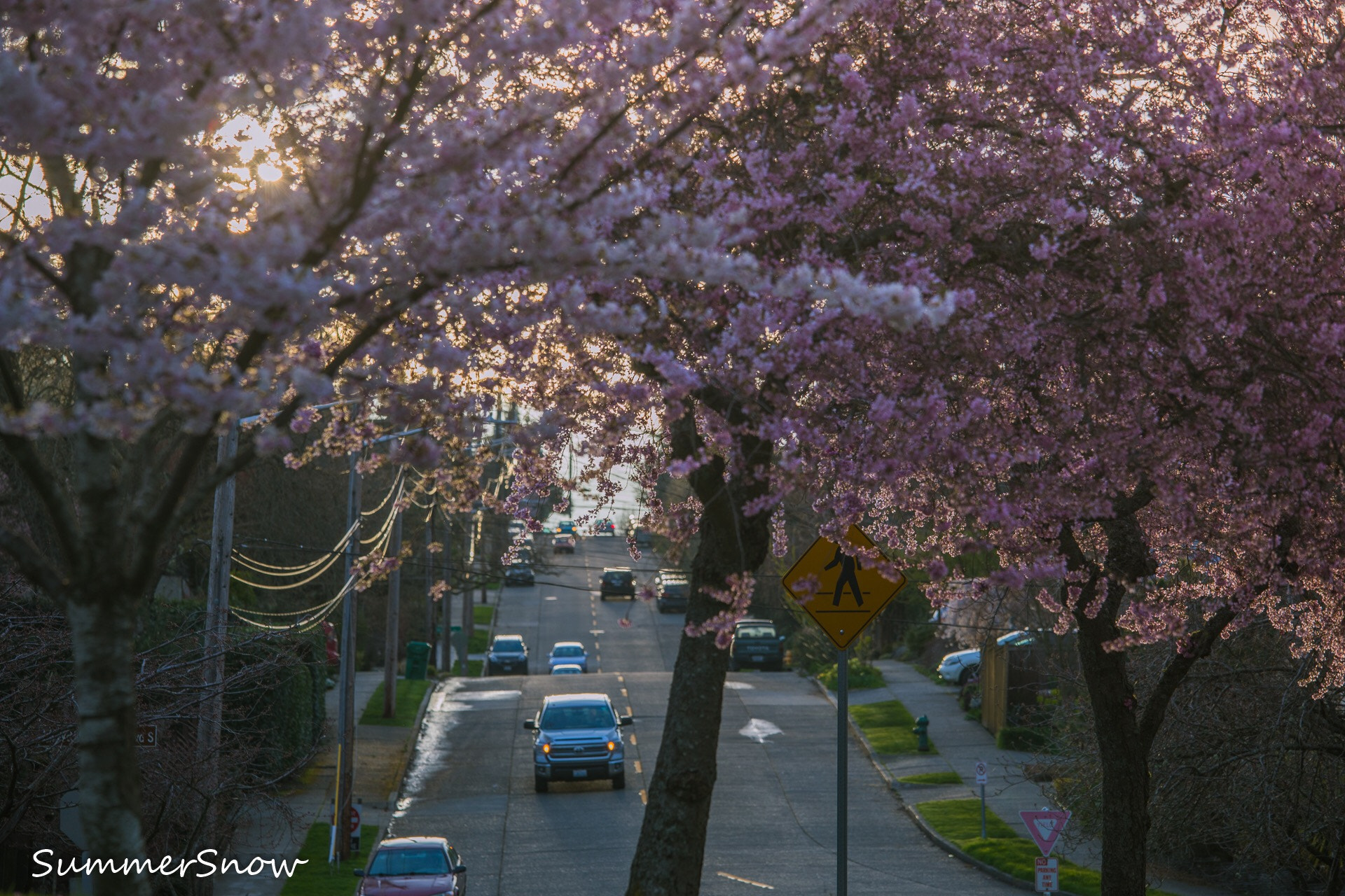 Canon EF 70-200mm F4L IS USM sample photo