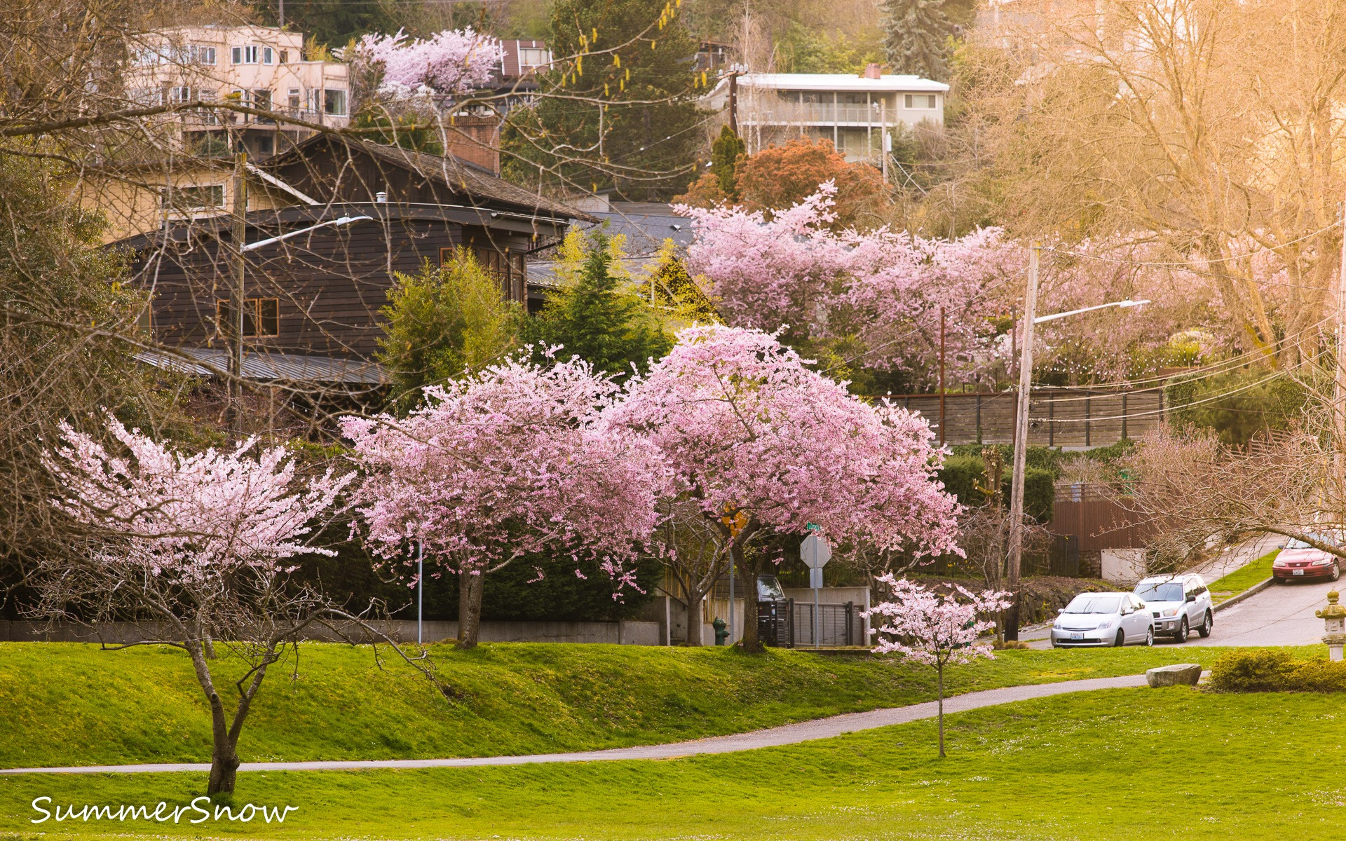 Canon EF 70-200mm F4L IS USM sample photo