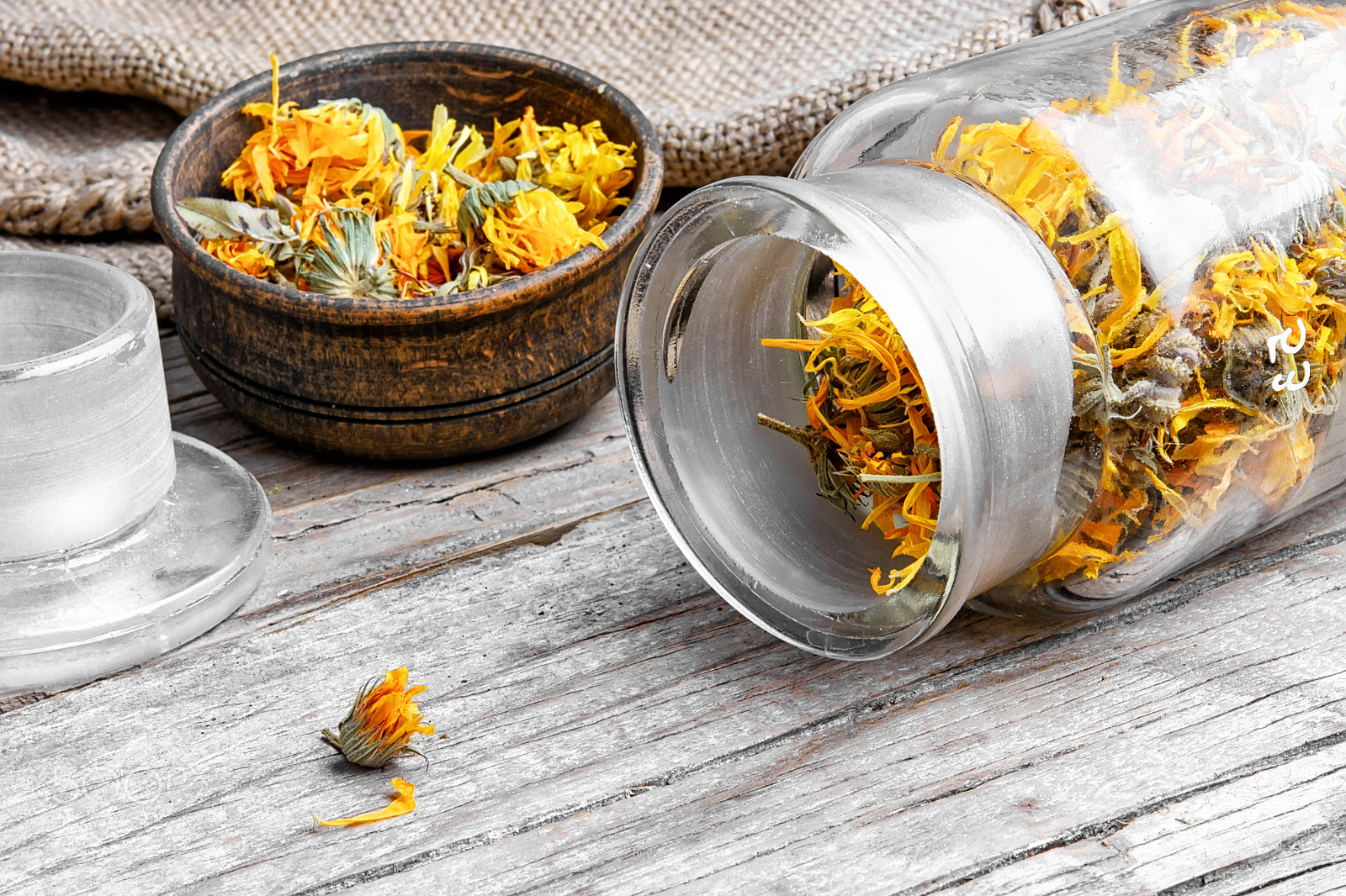 Nikon D7100 sample photo. Alternative medicinal calendula photography