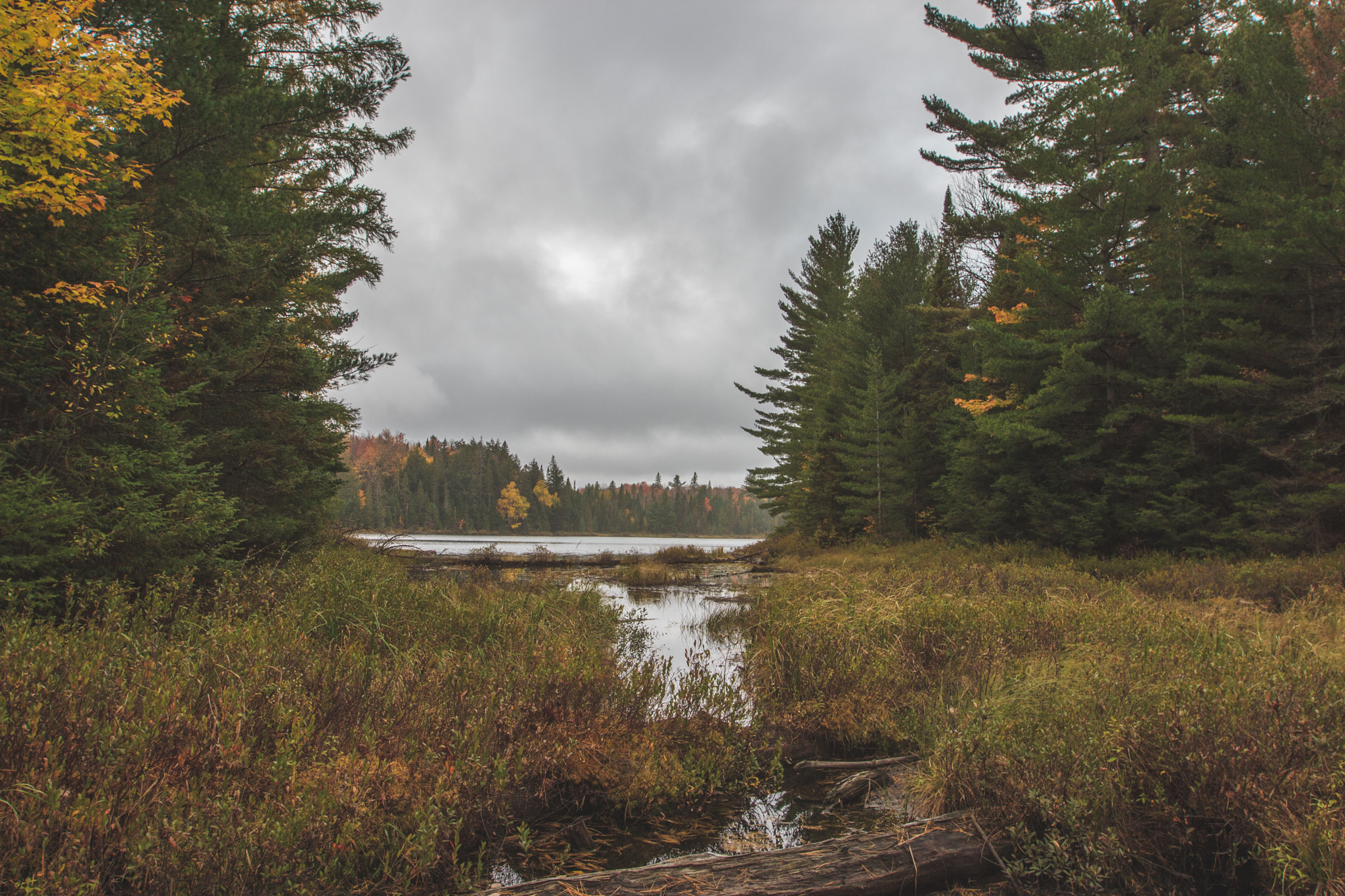 Canon EOS 600D (Rebel EOS T3i / EOS Kiss X5) + Canon EF 16-35mm F2.8L II USM sample photo. Old creek photography