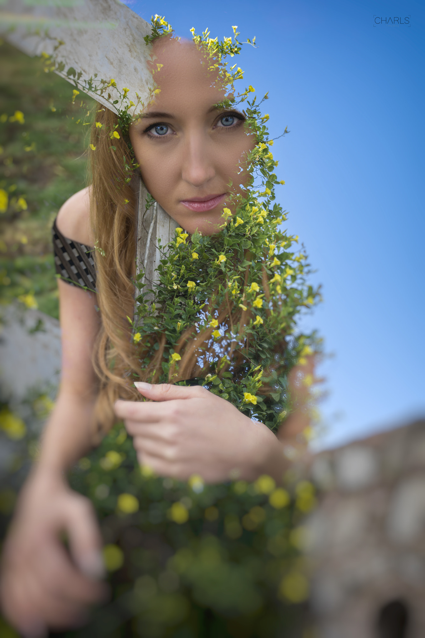 Canon EF 50mm F1.8 II sample photo. Oliysa photography