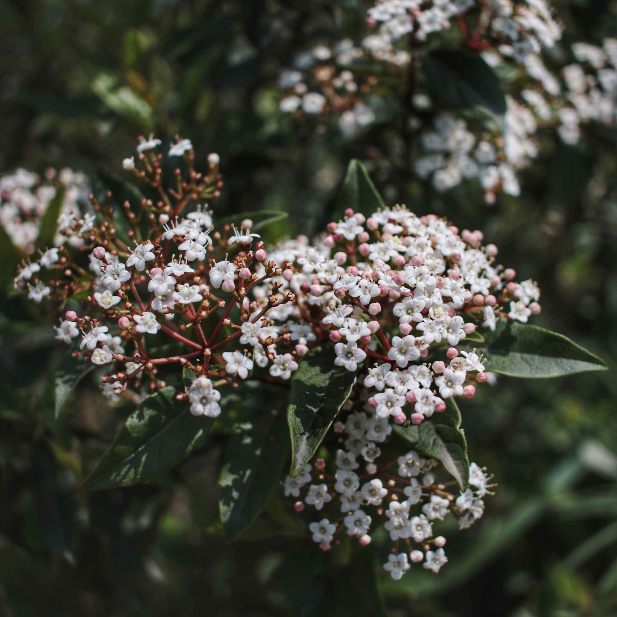Canon EOS 70D sample photo