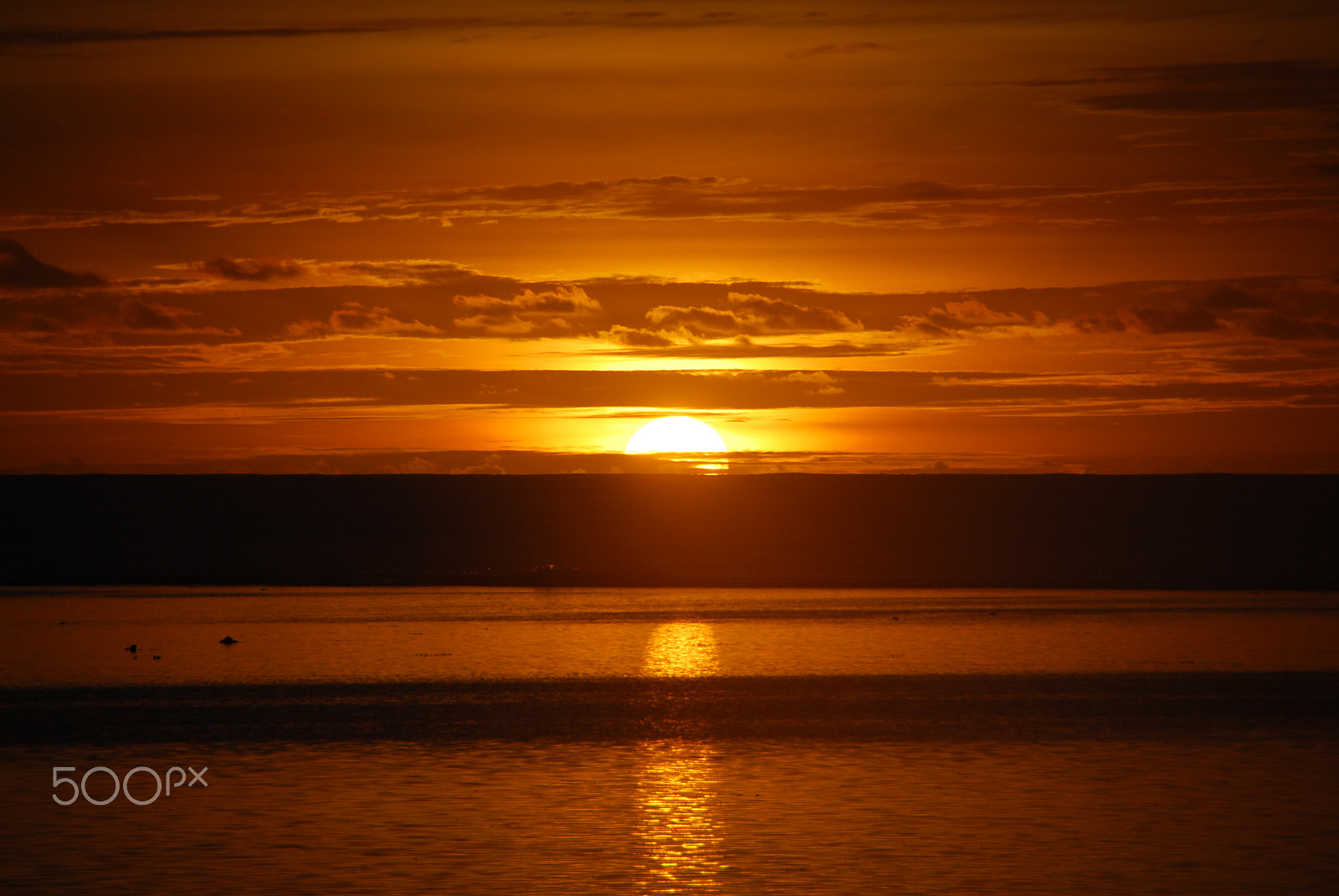 Nikon D60 sample photo. Sunset horizon sun ball photography