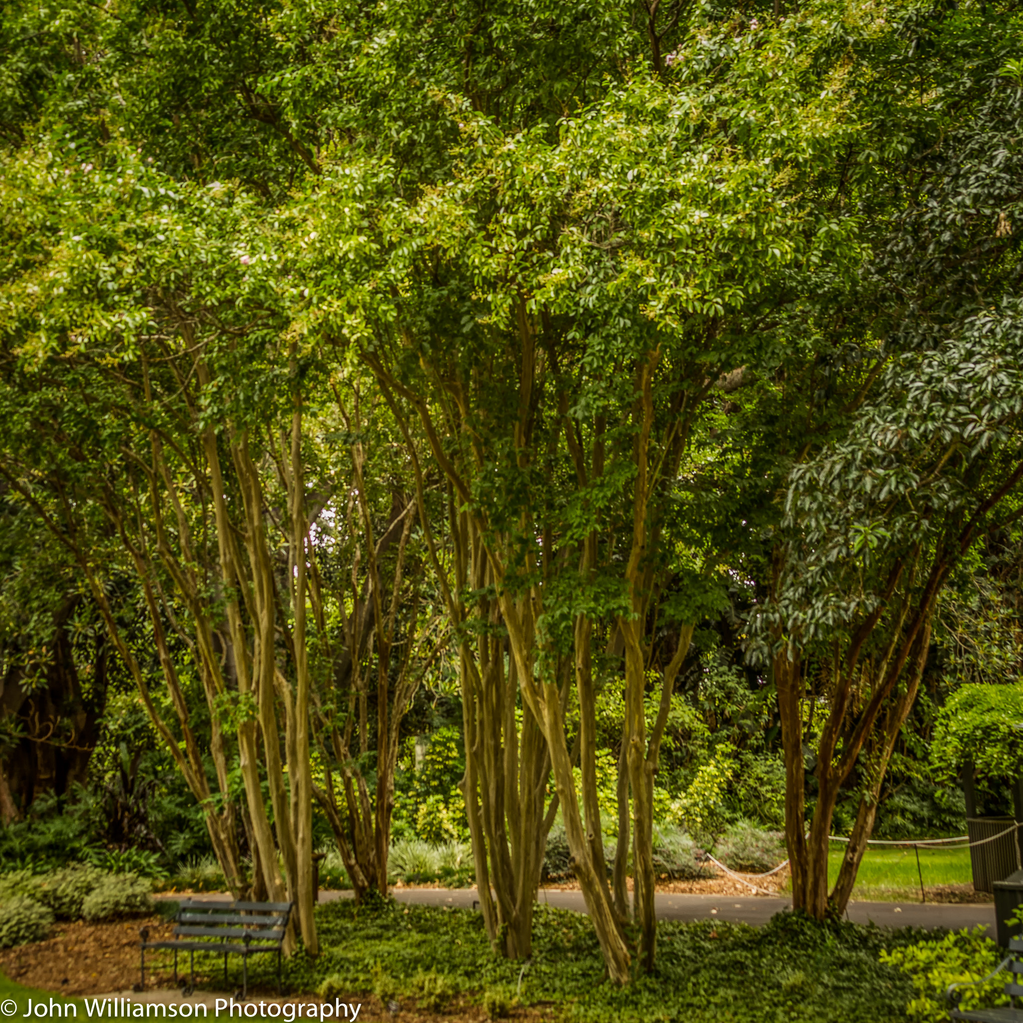 Canon EF 28-135mm F3.5-5.6 IS USM sample photo. Place for relaxation photography