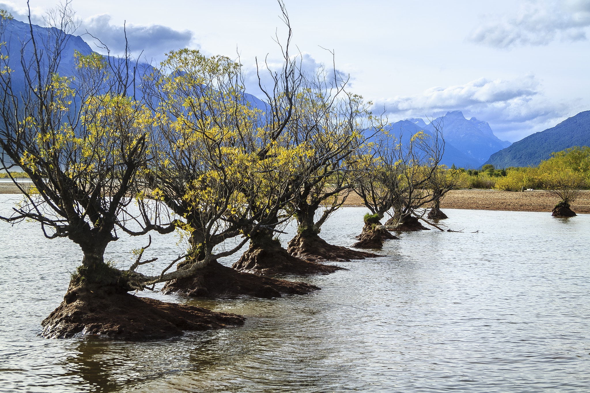 Canon EF-S 17-85mm F4-5.6 IS USM sample photo. View from wharf northwards toward humboldt mountains photography