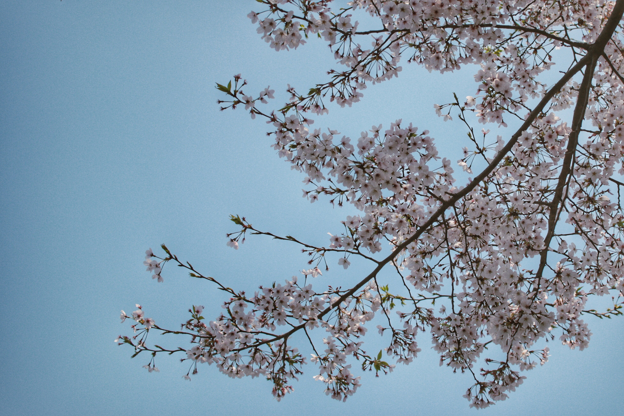Canon EOS 70D sample photo