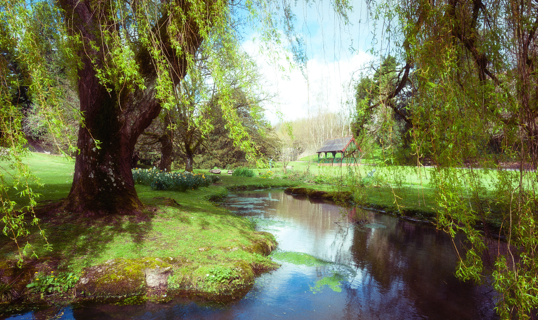 Nikon AF-S Nikkor 14-24mm F2.8G ED sample photo. Willow photography