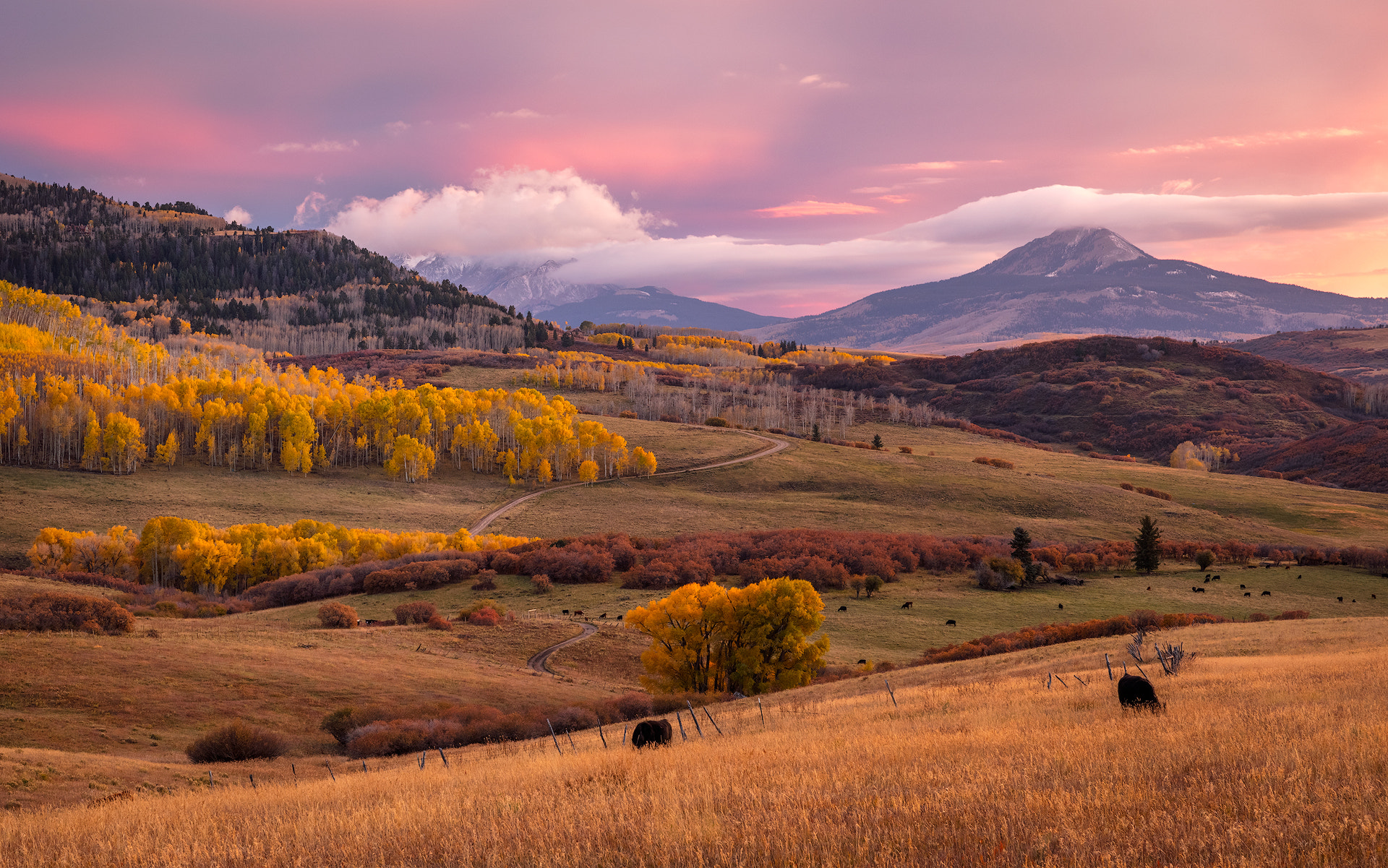 Canon EF 24-70mm F2.8L II USM sample photo. Colorado sunset photography