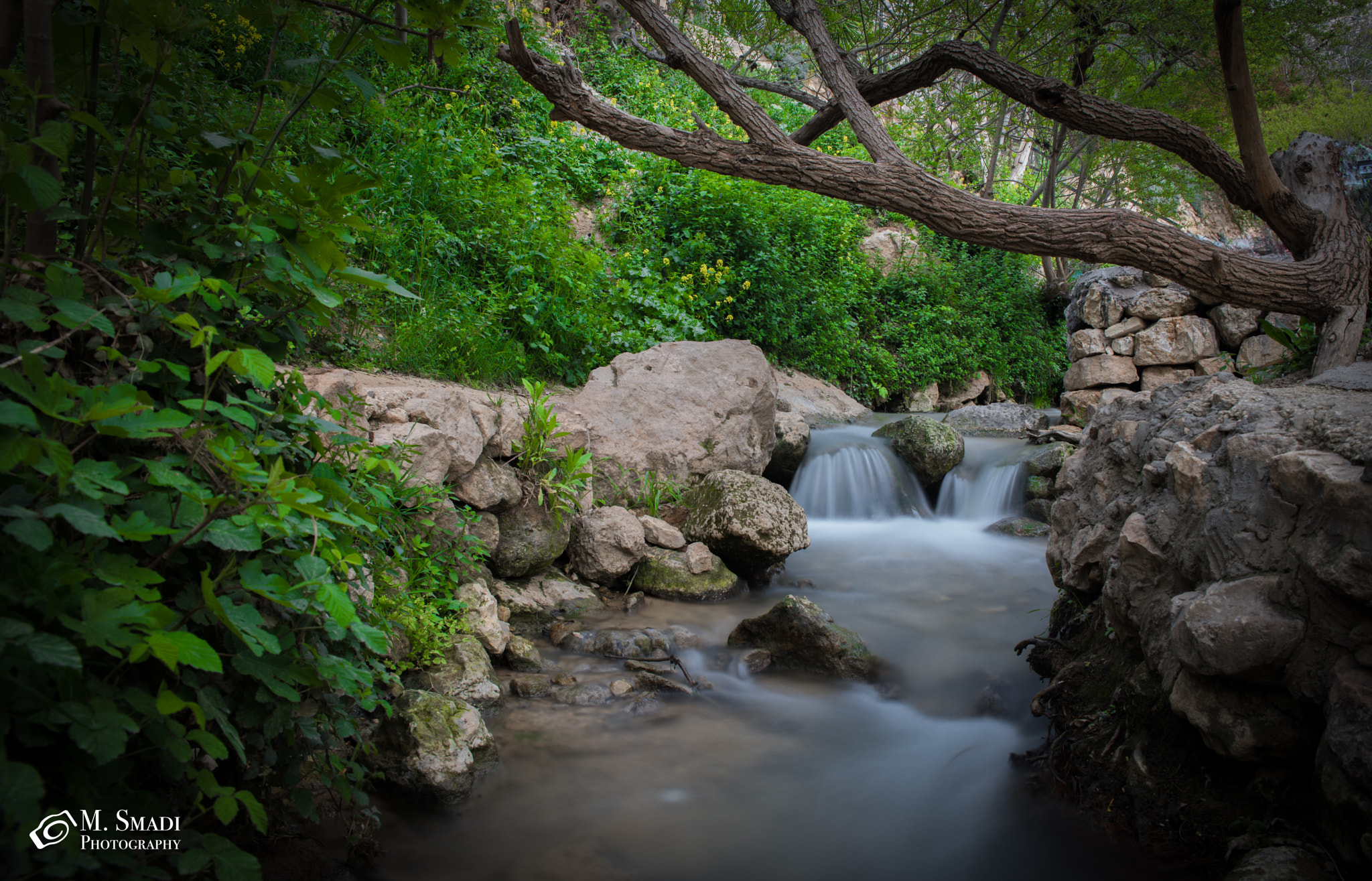 Nikon D810 sample photo. ان الله جميلٌ يحب الجمال photography