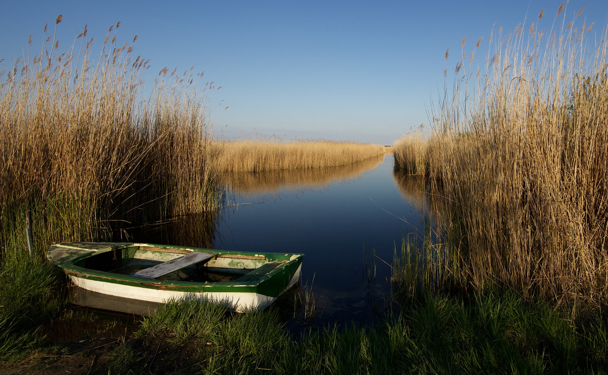 Canon EF 14mm F2.8L II USM sample photo. Blue hour photography