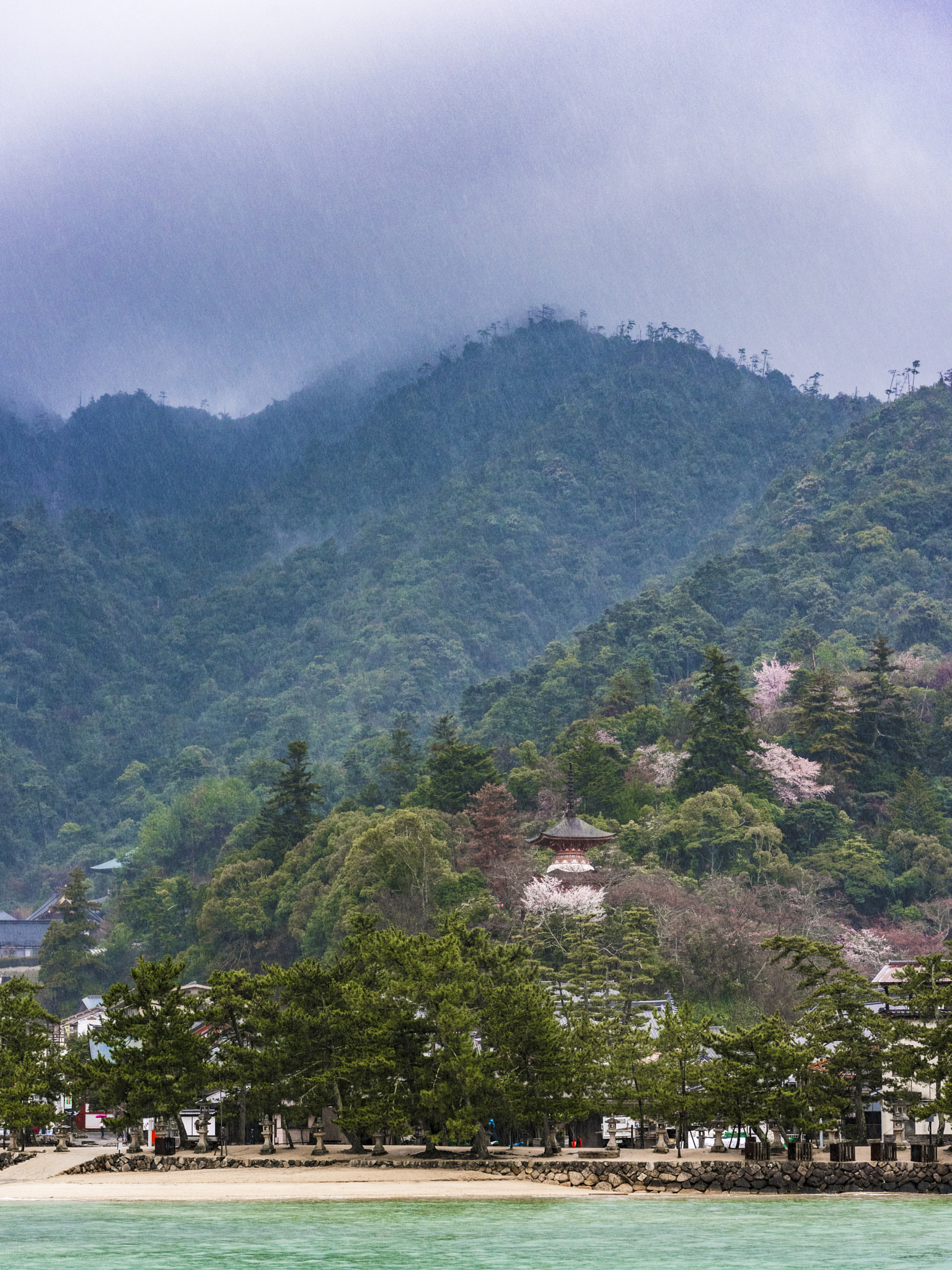 Nikon AF-S Nikkor 24-70mm F2.8E ED VR sample photo. Spring rain photography