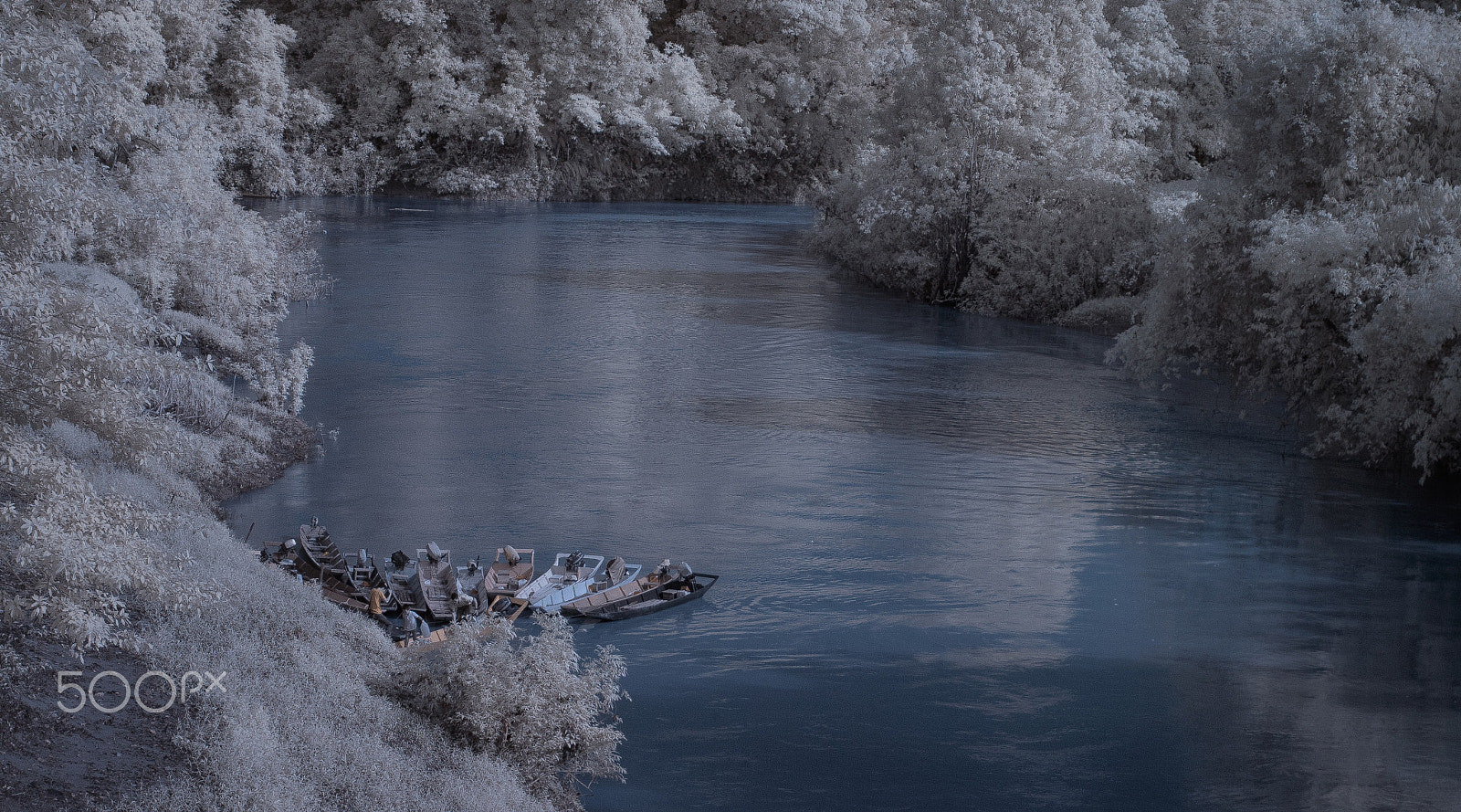 Nikon D80 sample photo. Ir photography photography