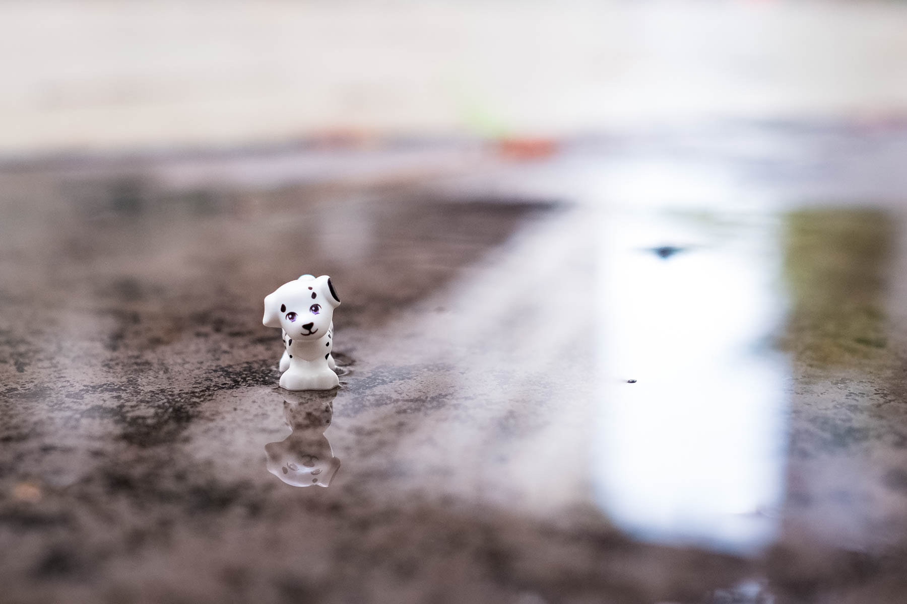 Fujifilm XF 23mm F1.4 R sample photo. Rain photography