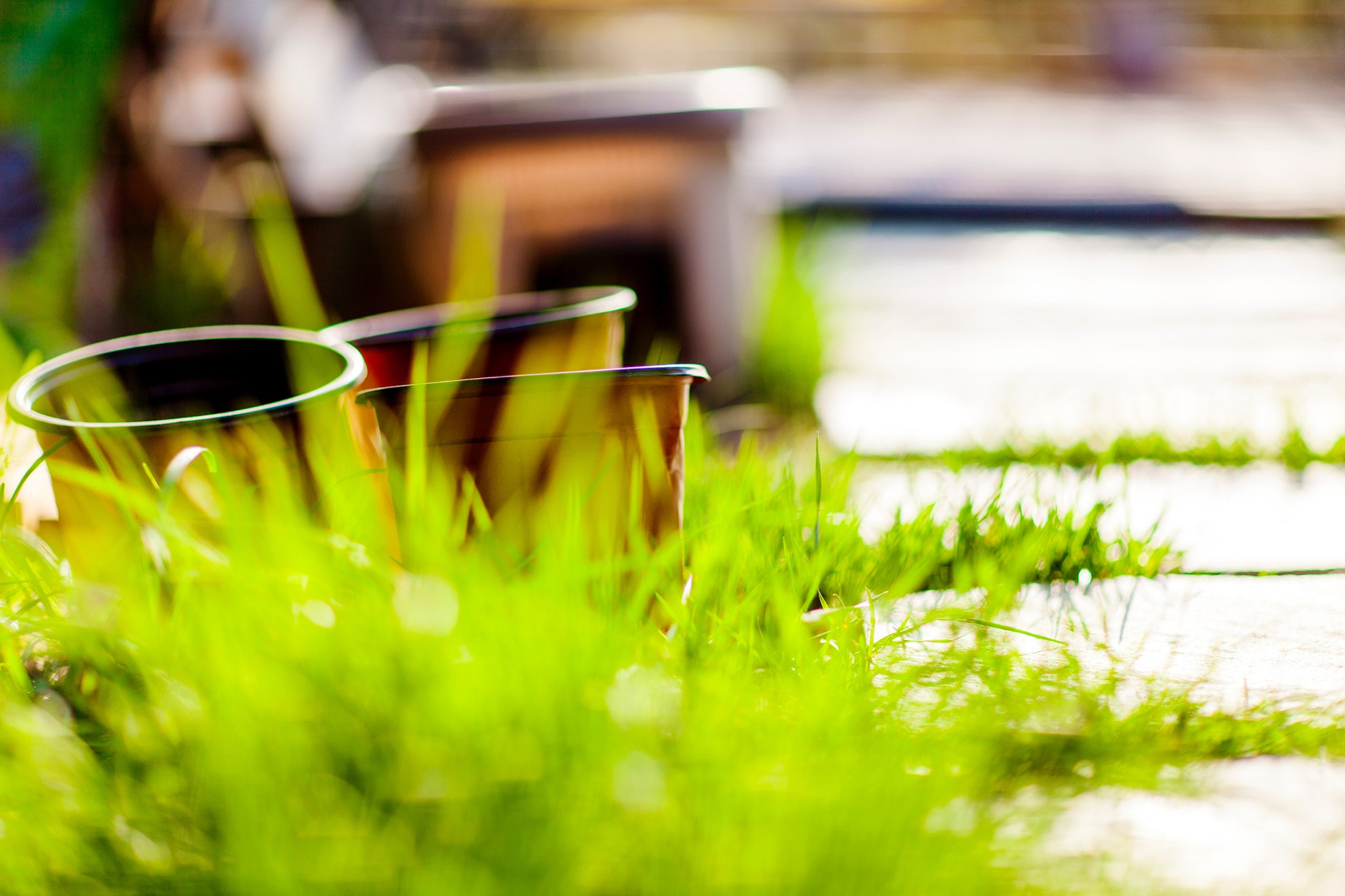 Canon EF 85mm F1.2L II USM sample photo. Morning sunlight photography