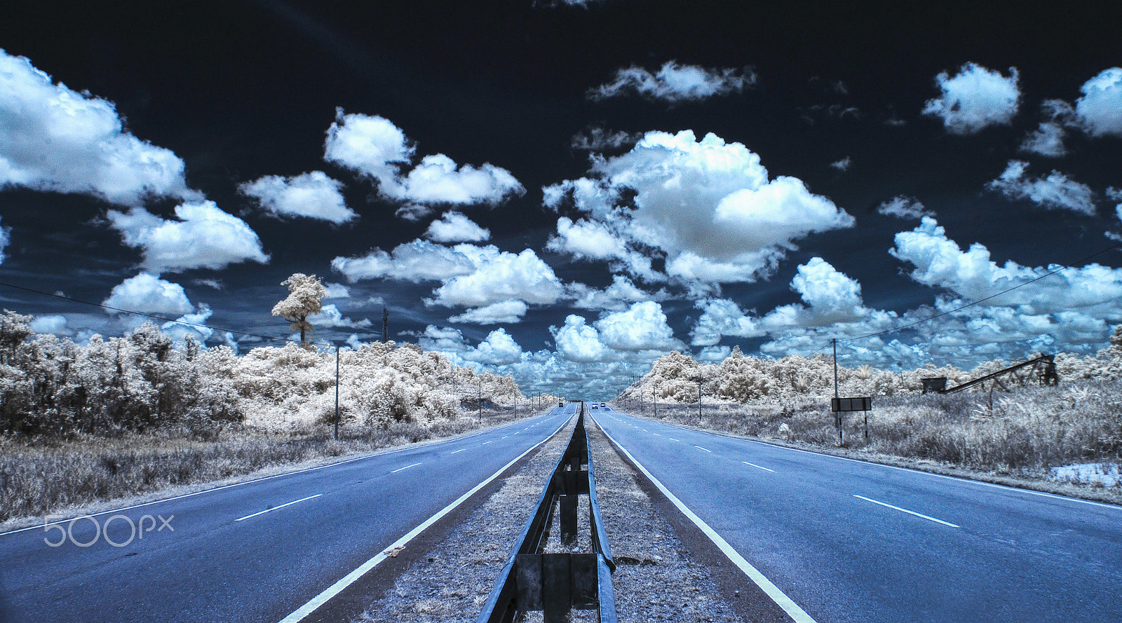 Nikon D80 sample photo. Ir photography photography