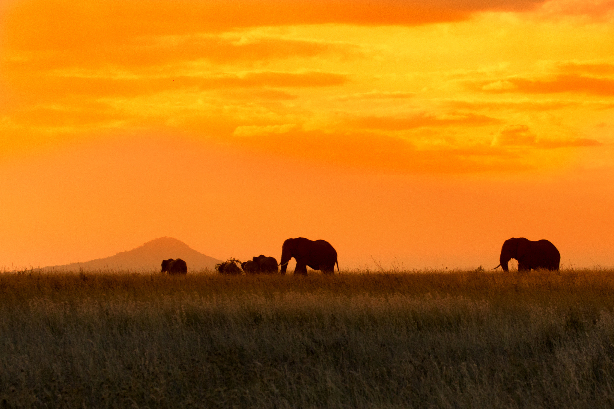 Canon EOS 30D sample photo. Sunset parade photography