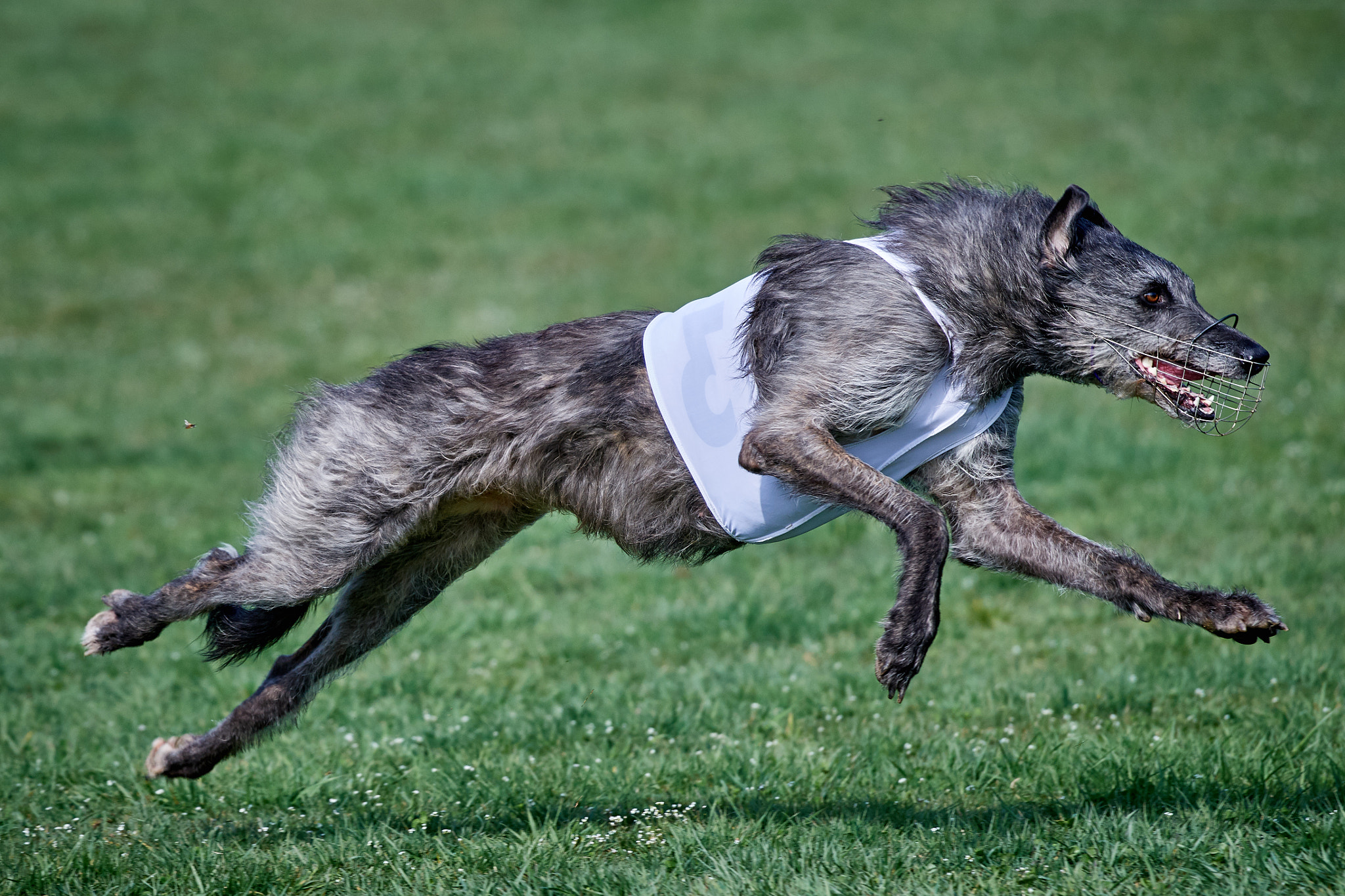 Nikon AF-S Nikkor 200-500mm F5.6E ED VR sample photo. Beyond gravity photography