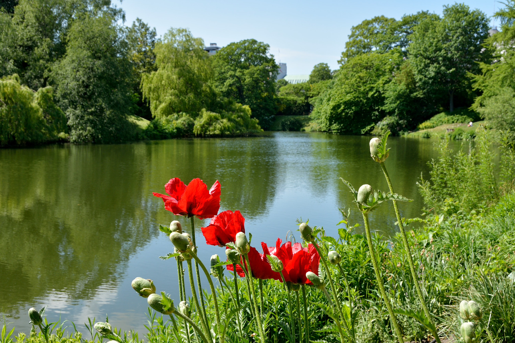 Nikon D7100 sample photo. Spring in copenhagen photography