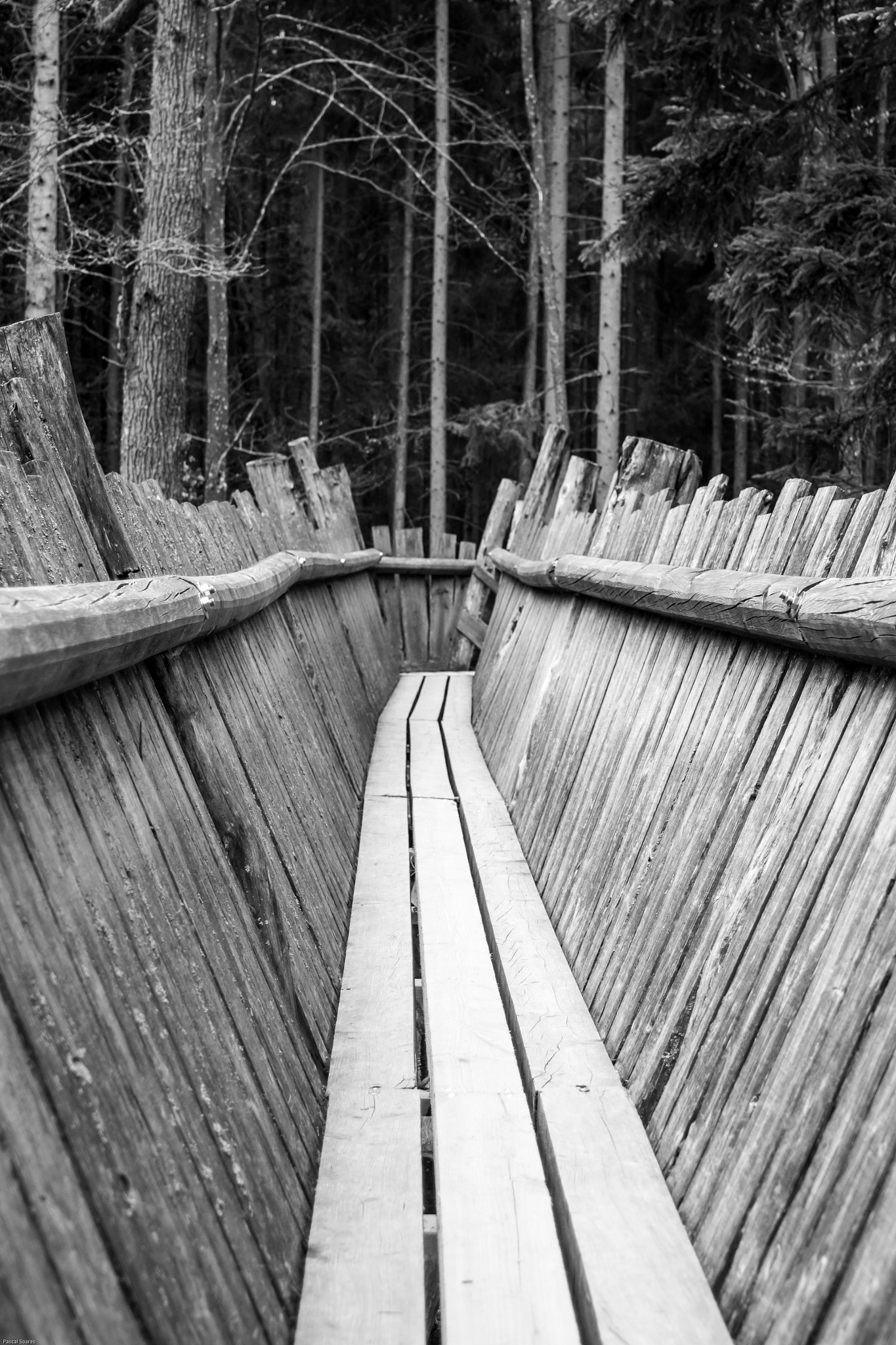 Canon EOS 500D (EOS Rebel T1i / EOS Kiss X3) + Canon EF 35-80mm f/4-5.6 sample photo. Bridge in the forest photography