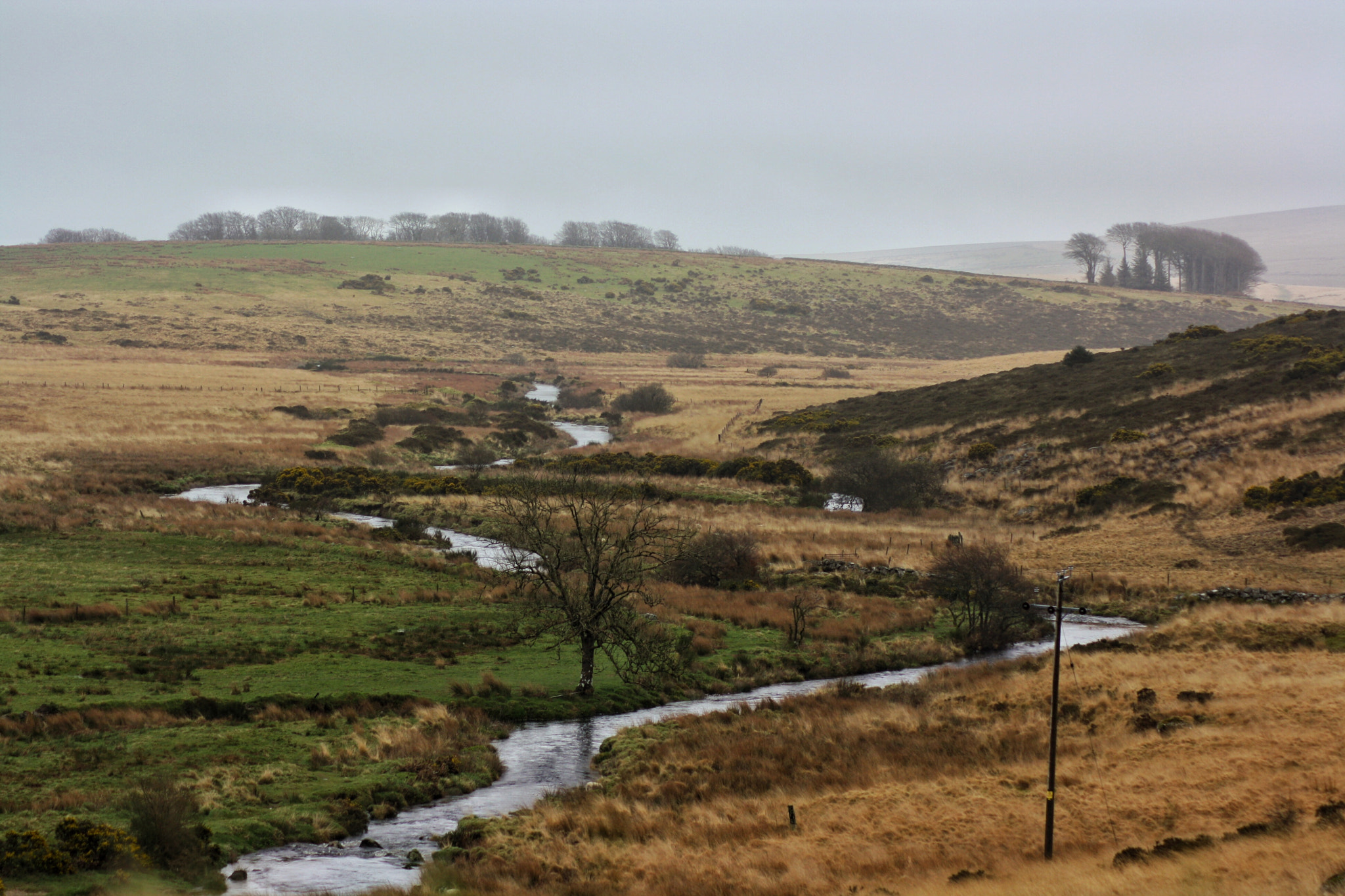 Canon EOS 1000D (EOS Digital Rebel XS / EOS Kiss F) sample photo. 31-03-17 | dartmoor national park photography