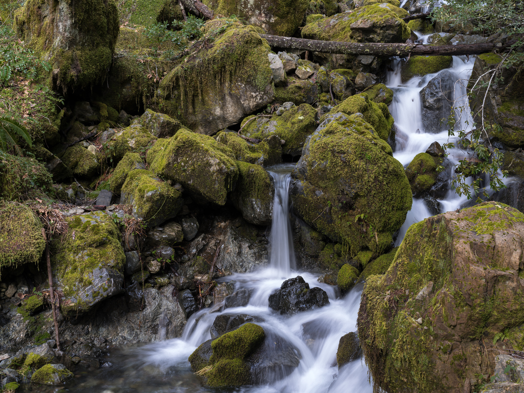 Pentax 645Z sample photo. Foster creek, rogue river-siskiyou national forest photography