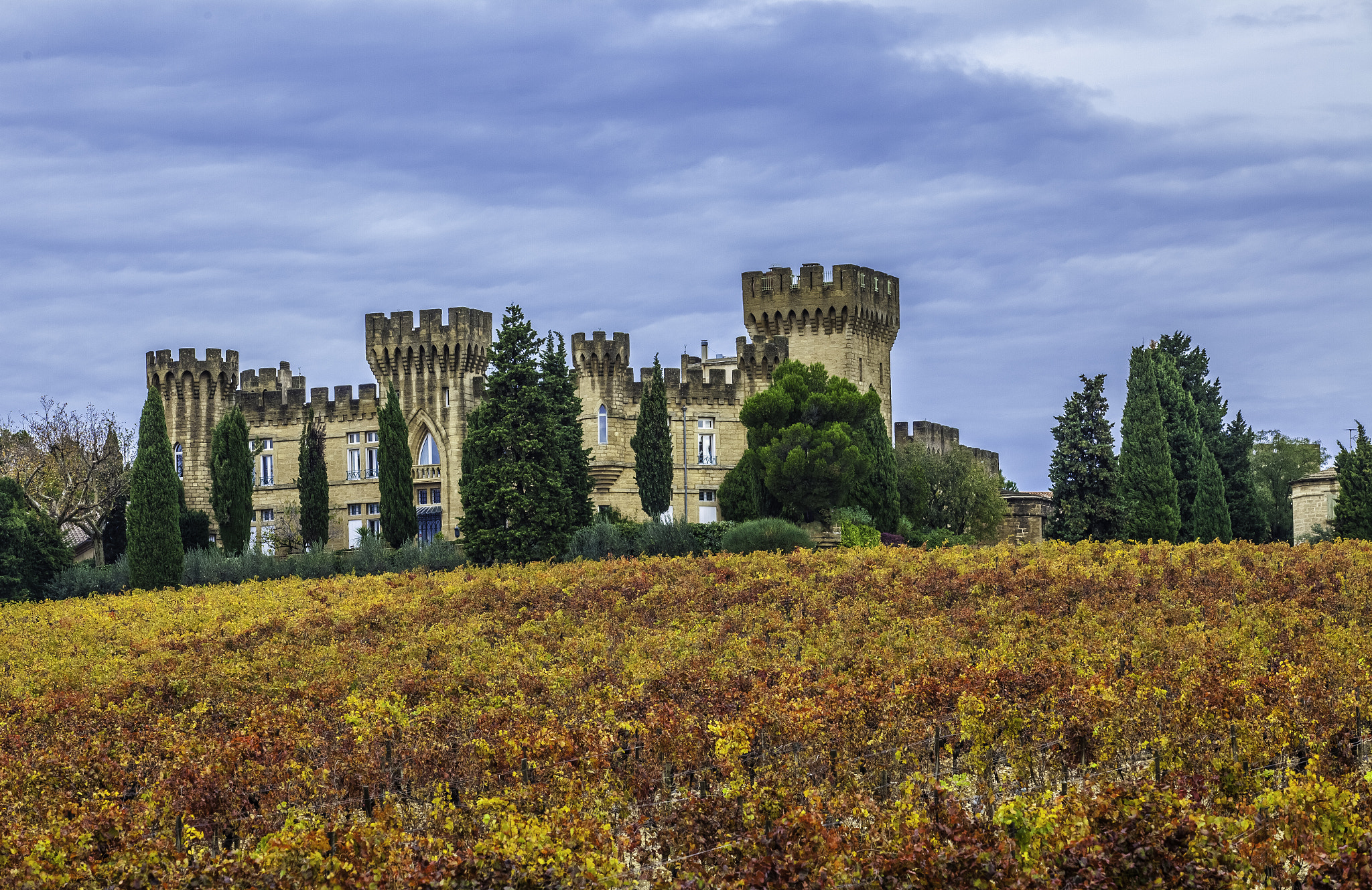 Canon EOS 5D Mark II + Canon EF 70-200mm F2.8L USM sample photo. At chateauneuf-du-pape.. photography