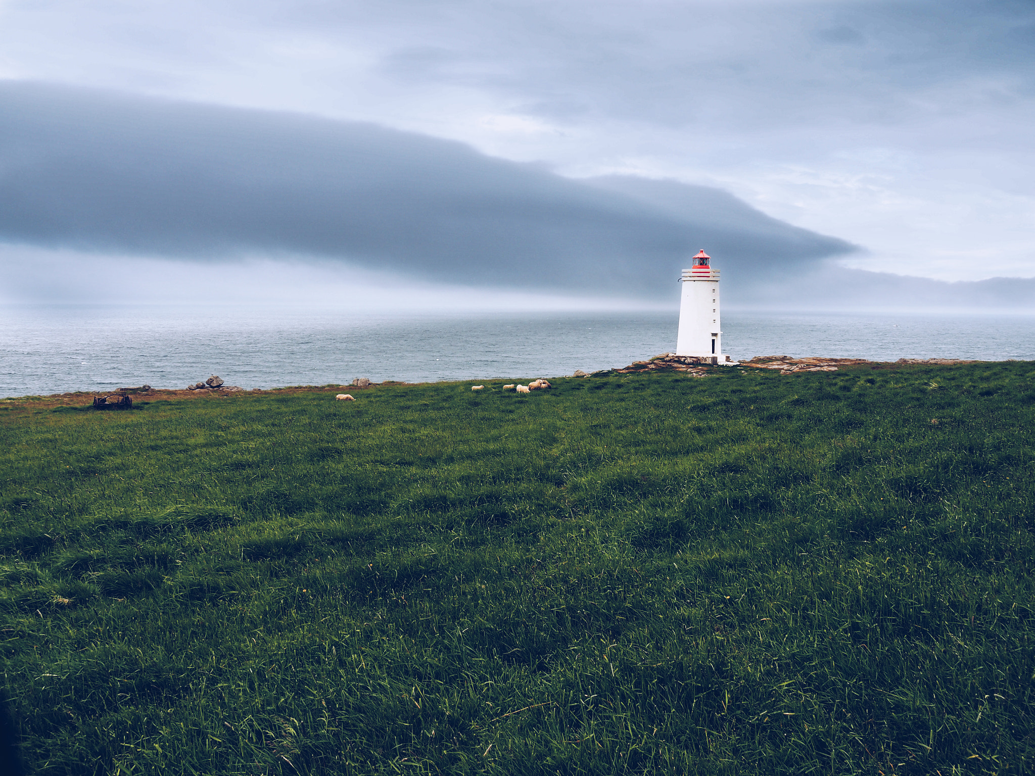 Olympus PEN E-PL7 sample photo. Sheeps and lighthouse photography