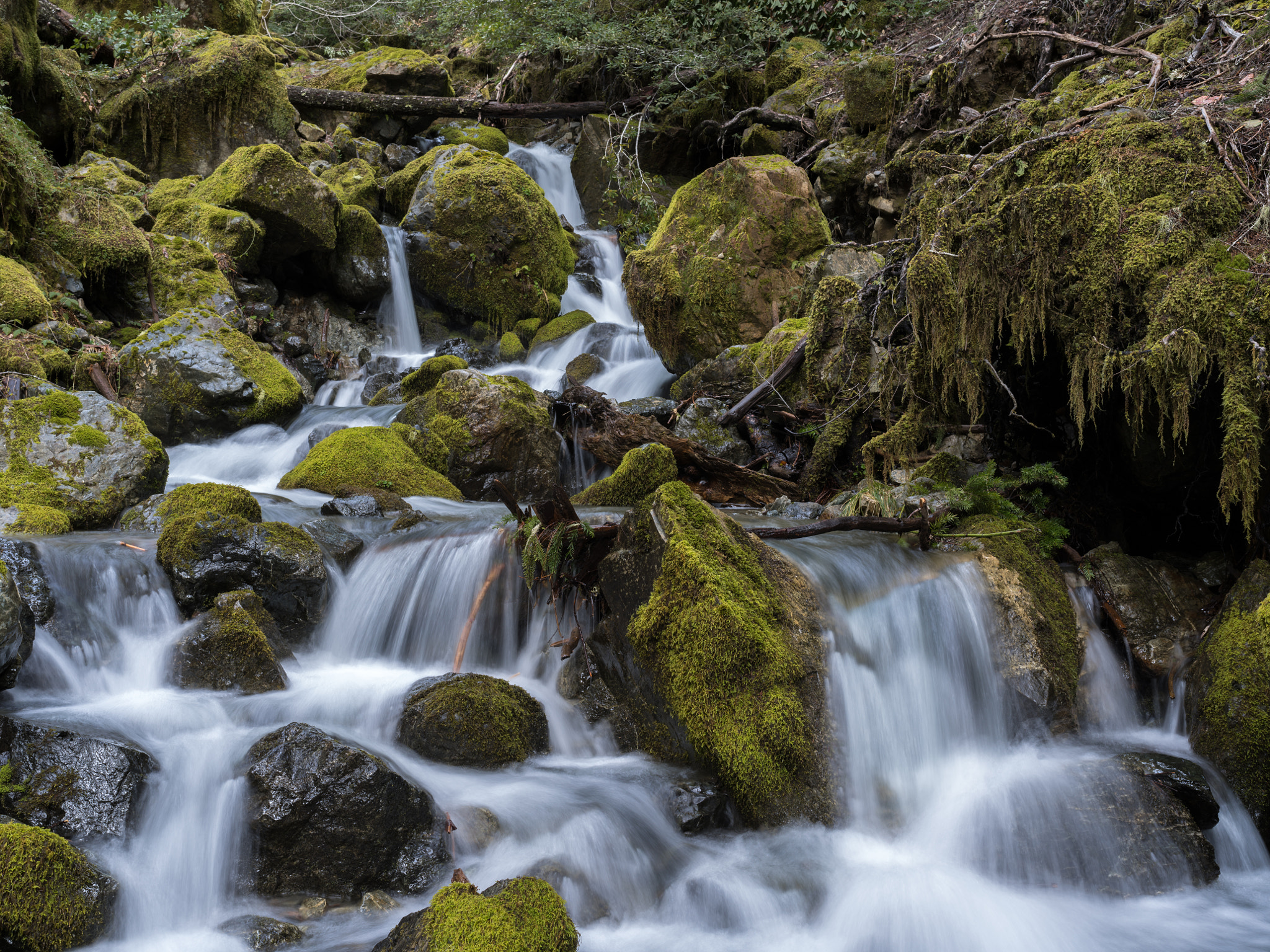 Pentax 645Z sample photo. Foster creek, rogue river-siskiyou national forest photography