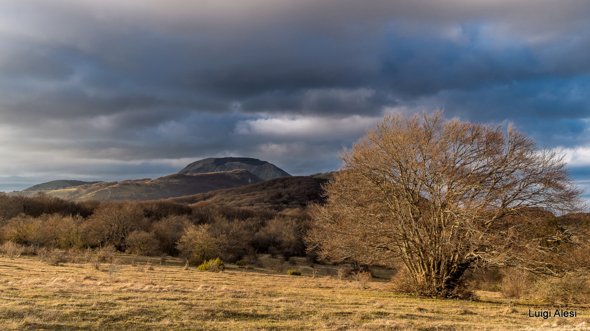 Fujifilm XC 16-50mm F3.5-5.6 OIS sample photo. Canfaito photography