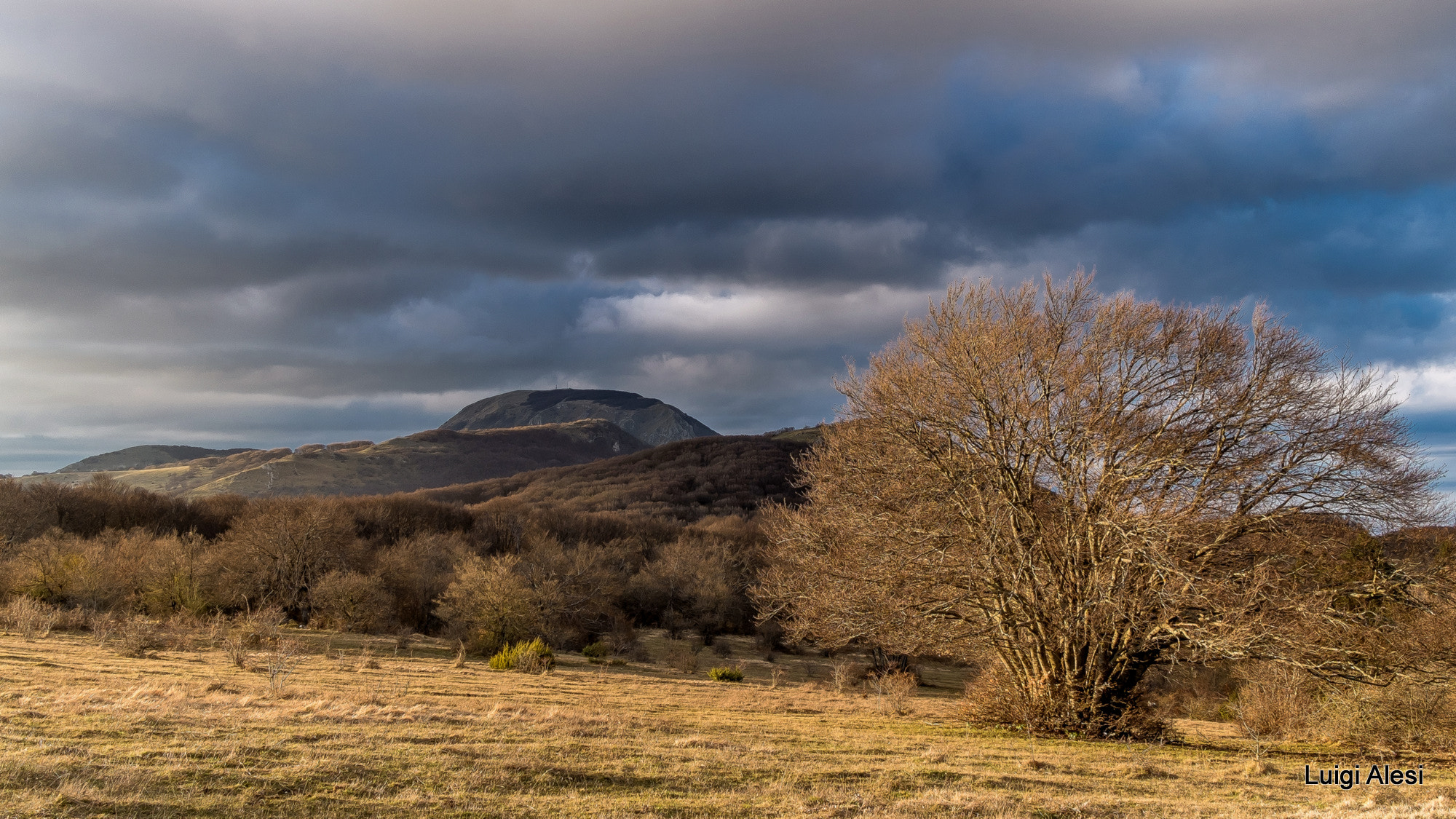 Fujifilm X-M1 sample photo. Canfaito photography