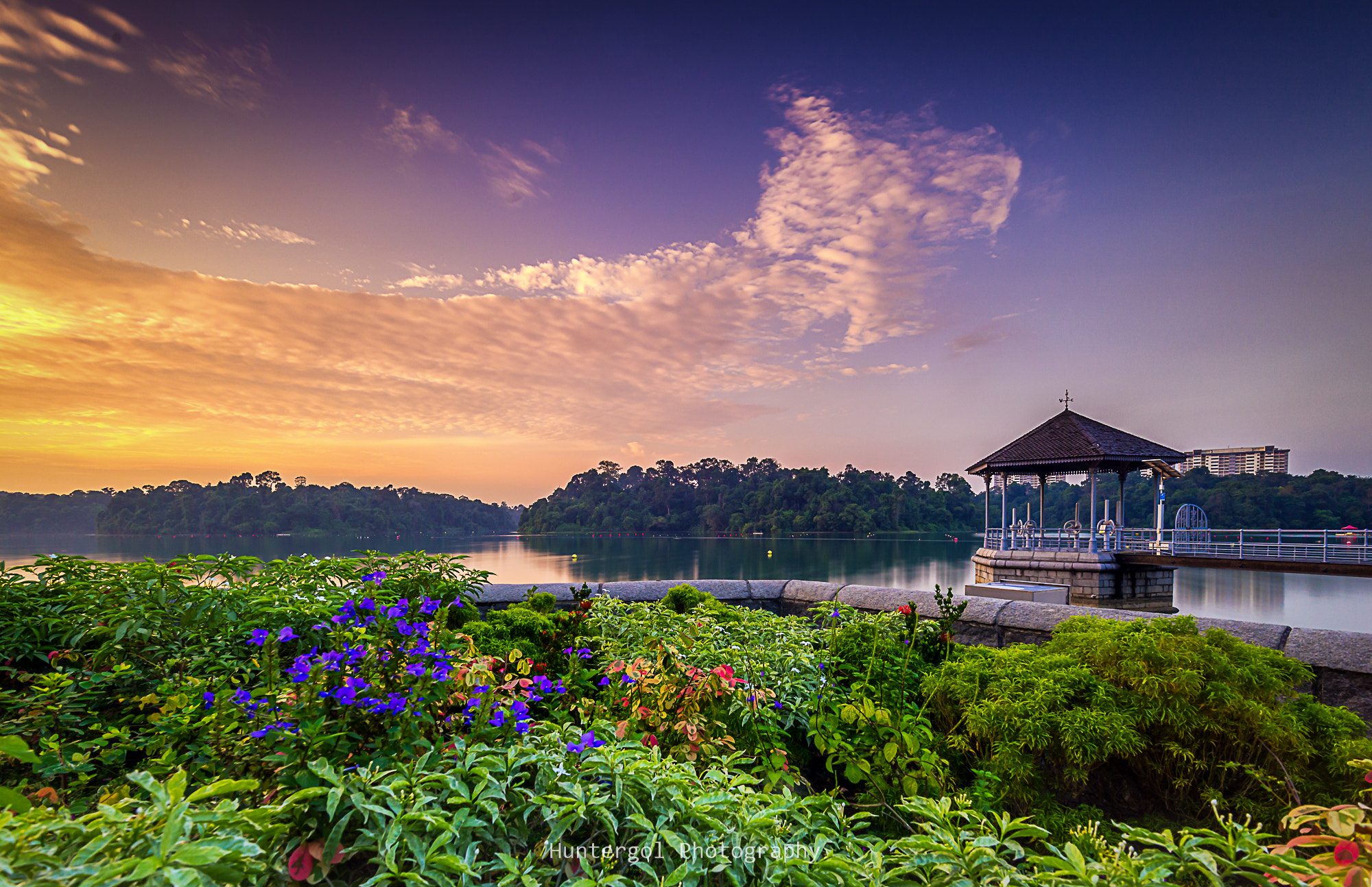 Nikon D610 + Nikon AF-S Nikkor 16-35mm F4G ED VR sample photo. Lavender flowers photography