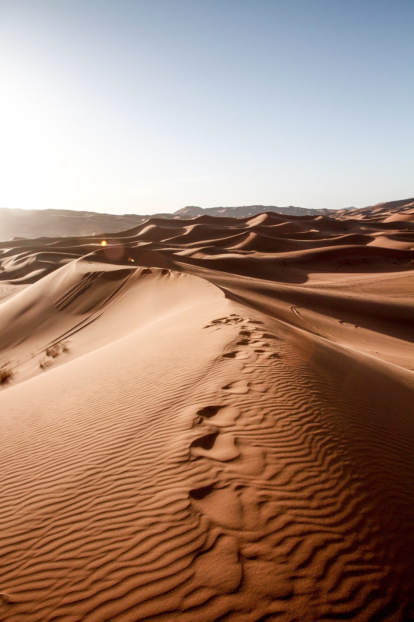 Canon EOS 7D + Canon EF-S 17-55mm F2.8 IS USM sample photo. Merzouga dunes early morning photography