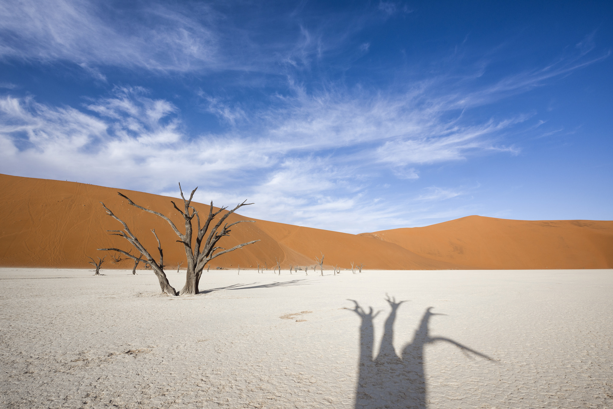 Nikon D810 sample photo. The terrific shadow (deadvlei, namibia) photography