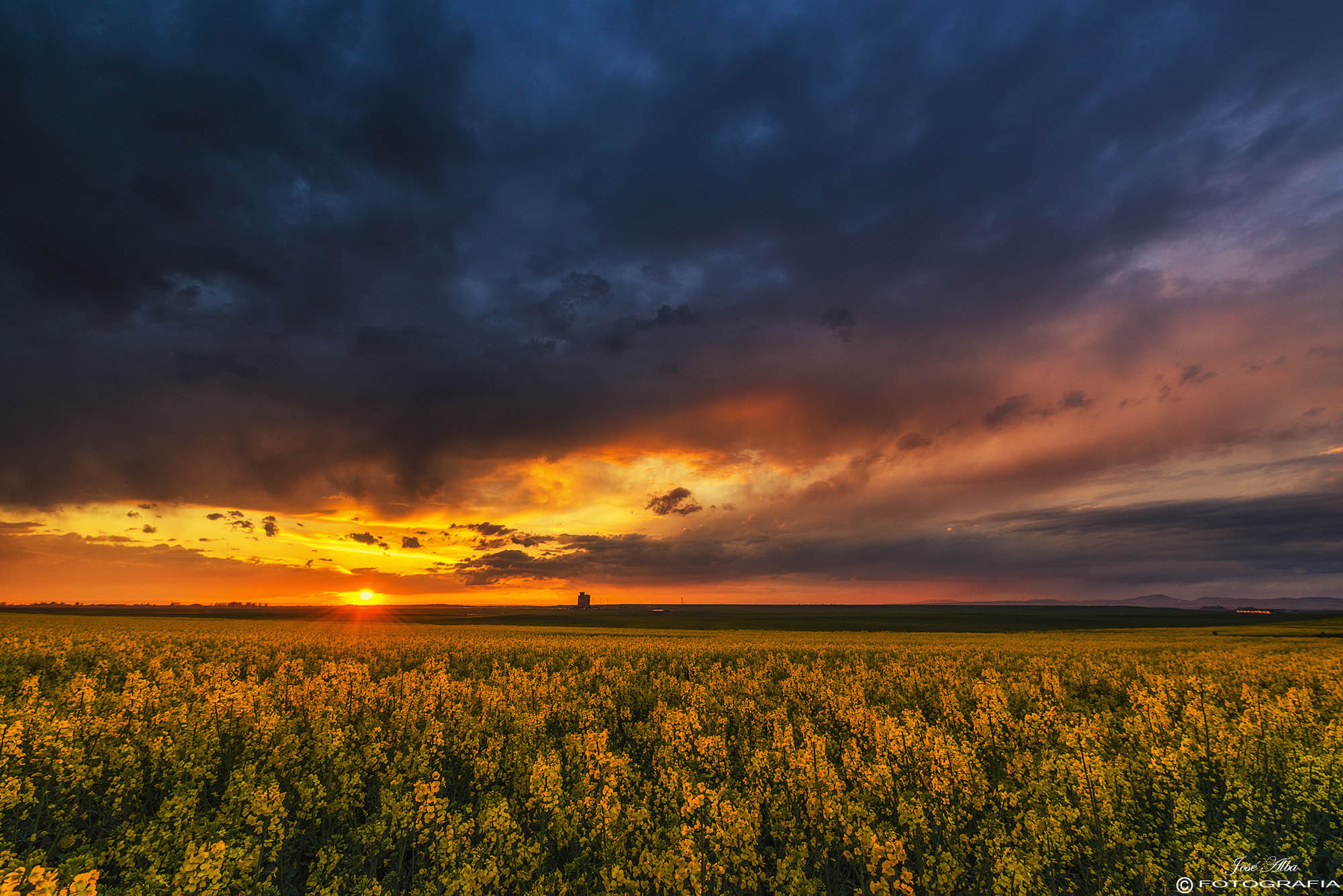 Nikon AF-S Nikkor 14-24mm F2.8G ED sample photo. Calidez photography