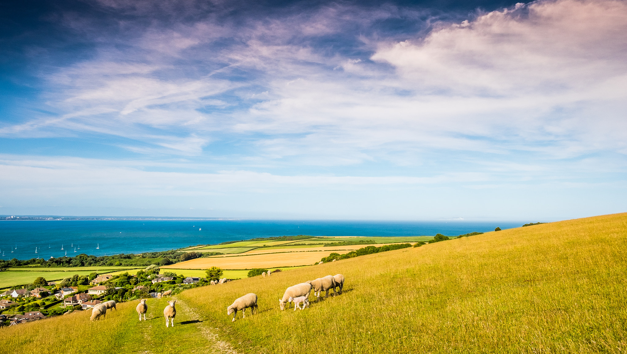 Fujifilm X-E2 + Fujifilm XF 18-55mm F2.8-4 R LM OIS sample photo. South coast path, purbeck, uk photography