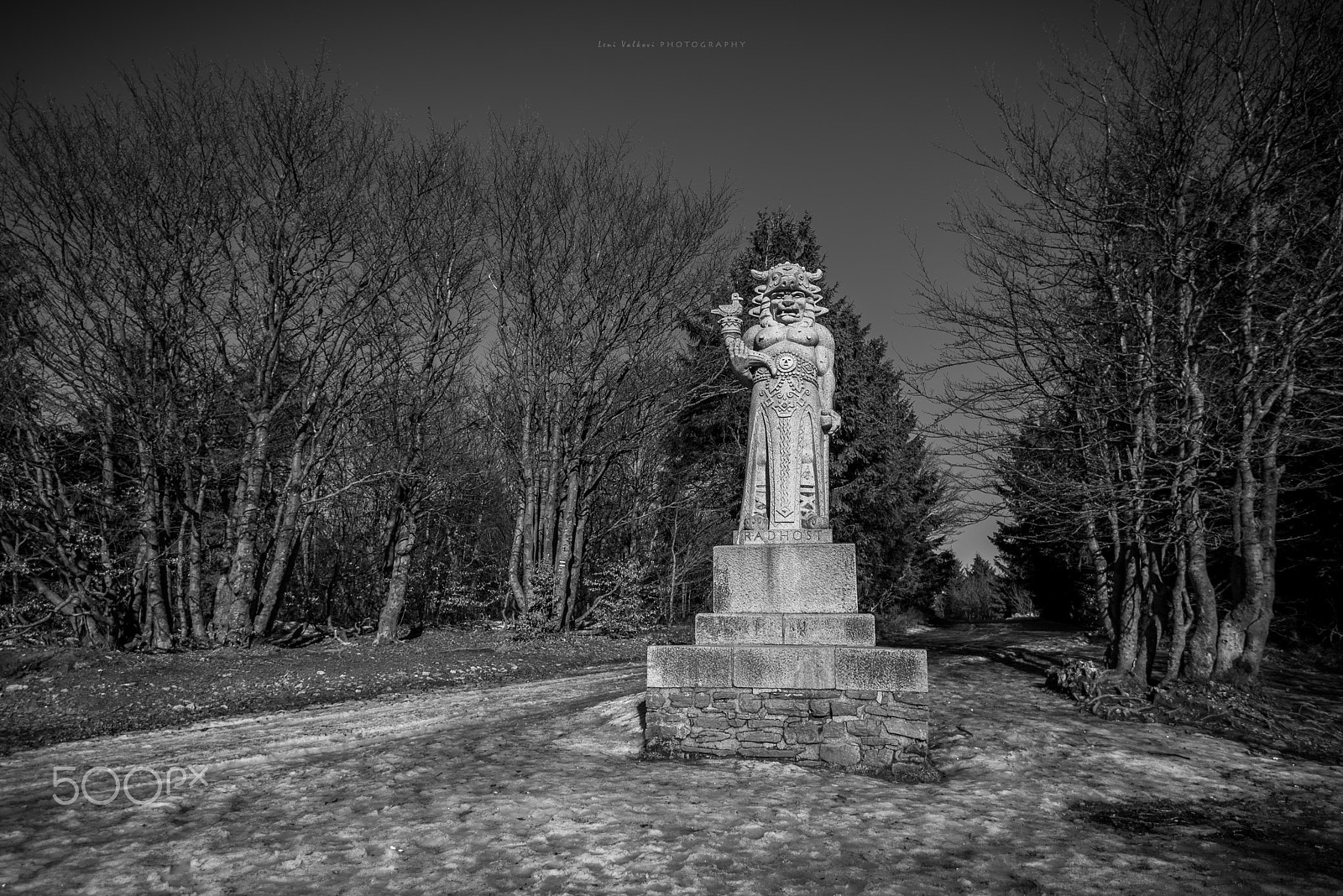 Nikon AF-S Nikkor 16-35mm F4G ED VR sample photo. Chilled radegast photography