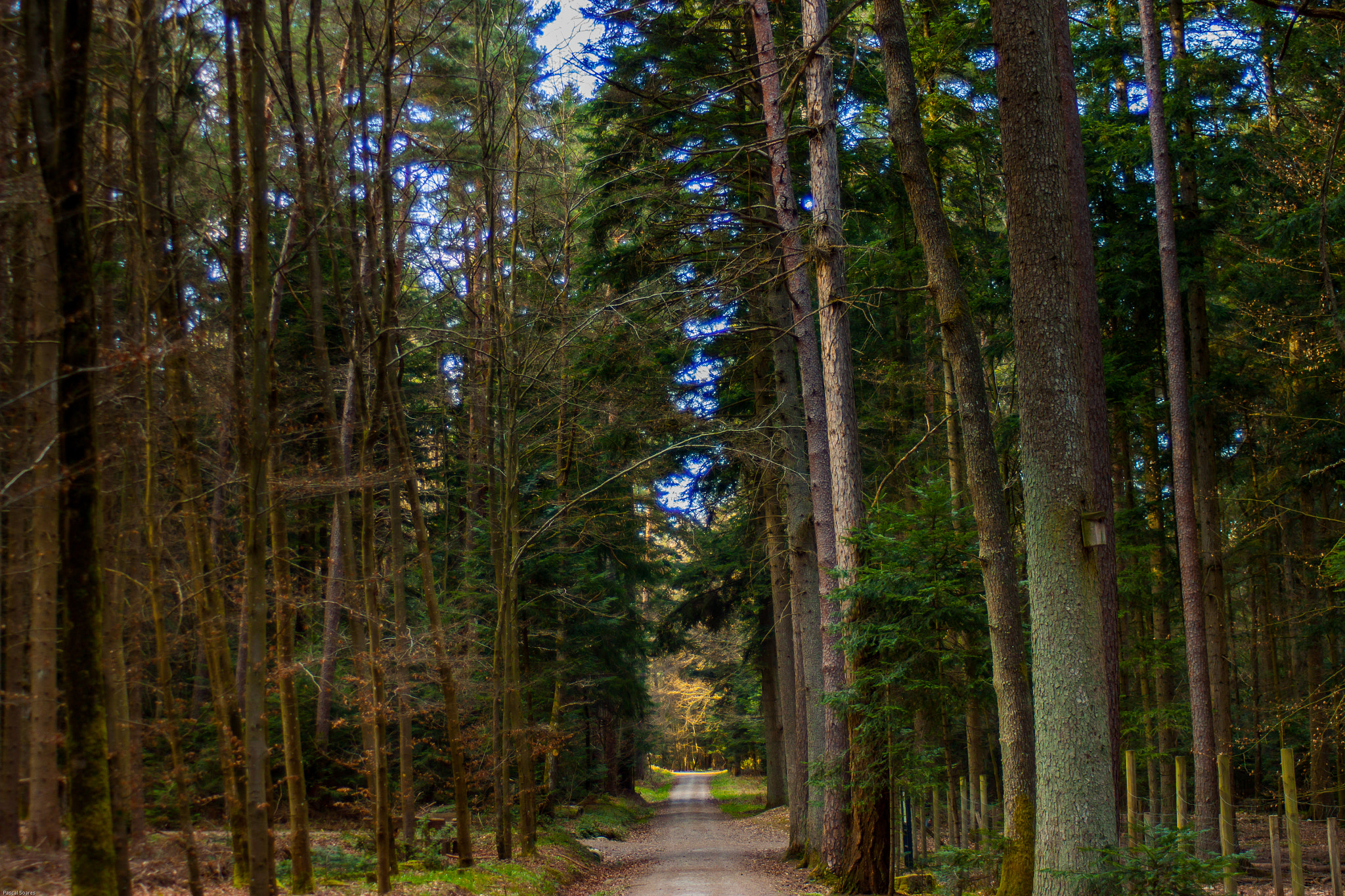 Canon EF 35-80mm f/4-5.6 sample photo. Way to sun photography